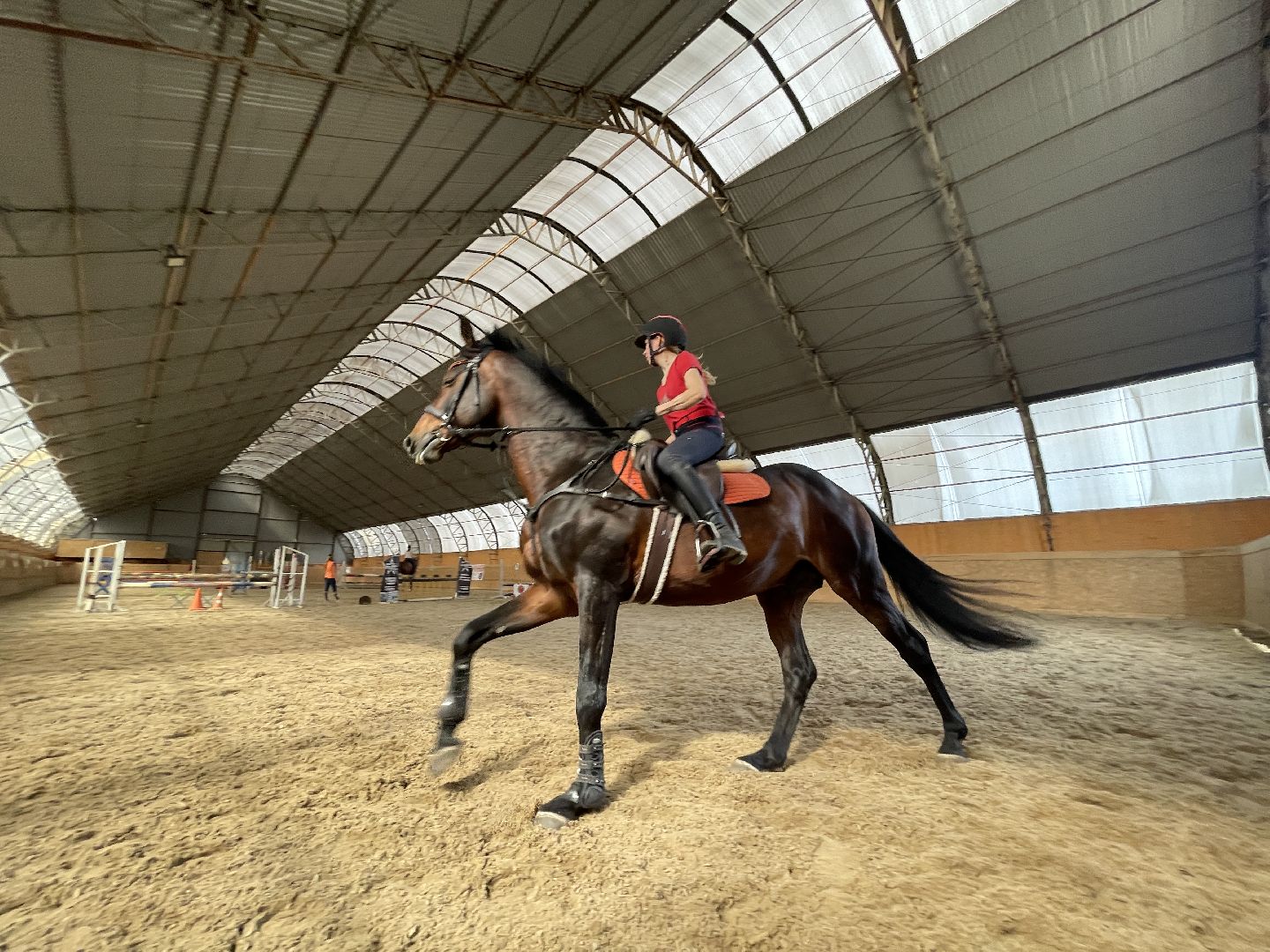 конный спорт, Одинцово, Кобяково, соревнования, конкур, Юникорн, Maxima,