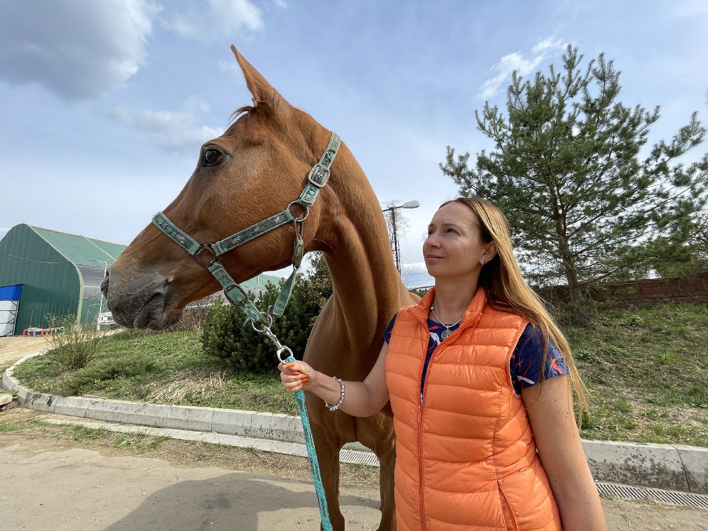 конный спорт, Одинцово, Кобяково, соревнования, конкур, Юникорн, Maxima,