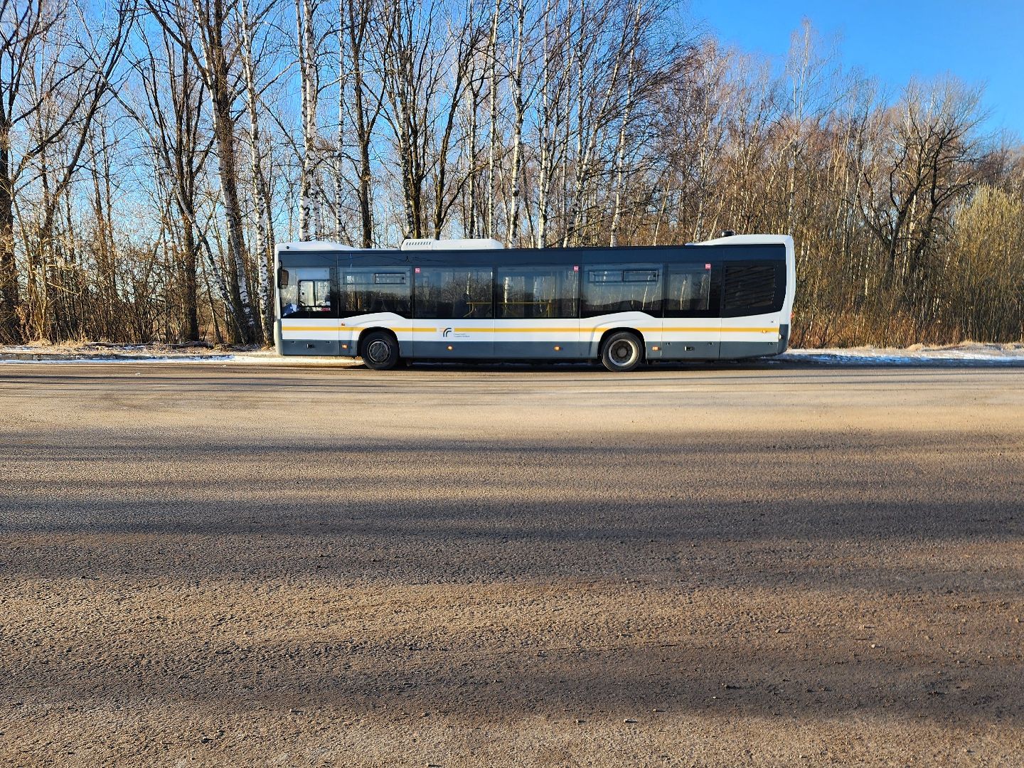 фрязино, транспорт, автобусы,