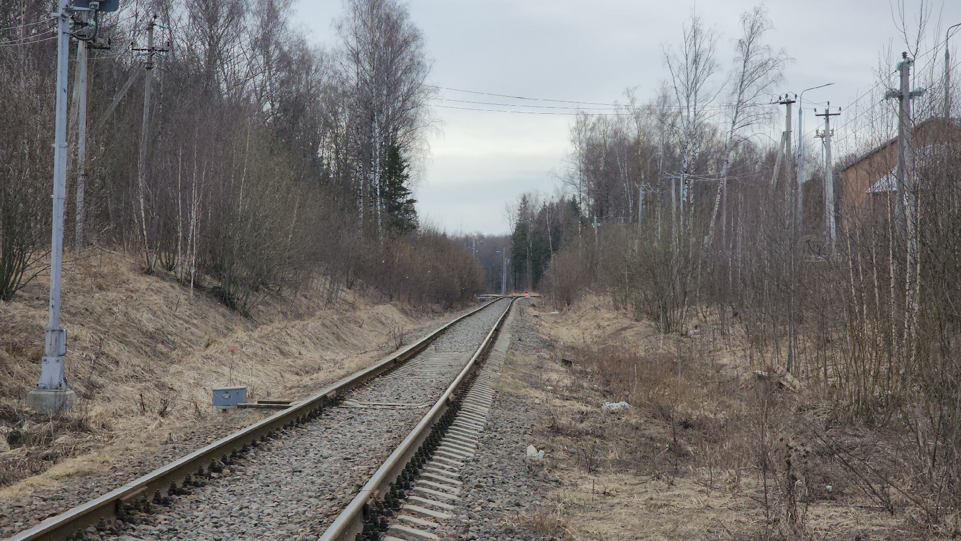 жд переход, Лобня, Дпс,