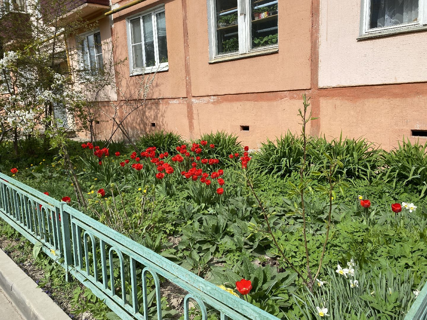 Чехов, благоустройство, жители, цветы, подъезд