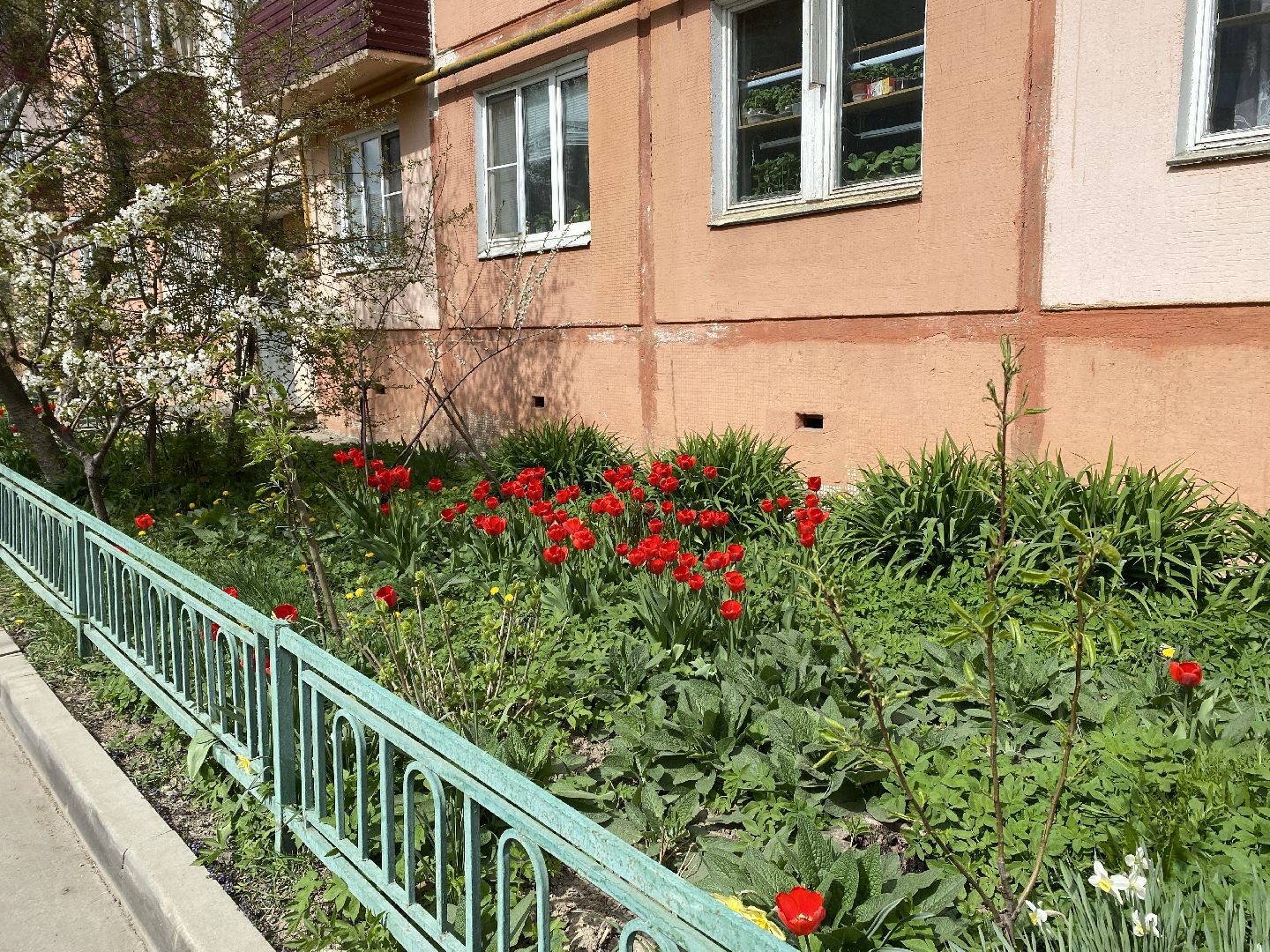 Чехов, благоустройство, жители, цветы, подъезд