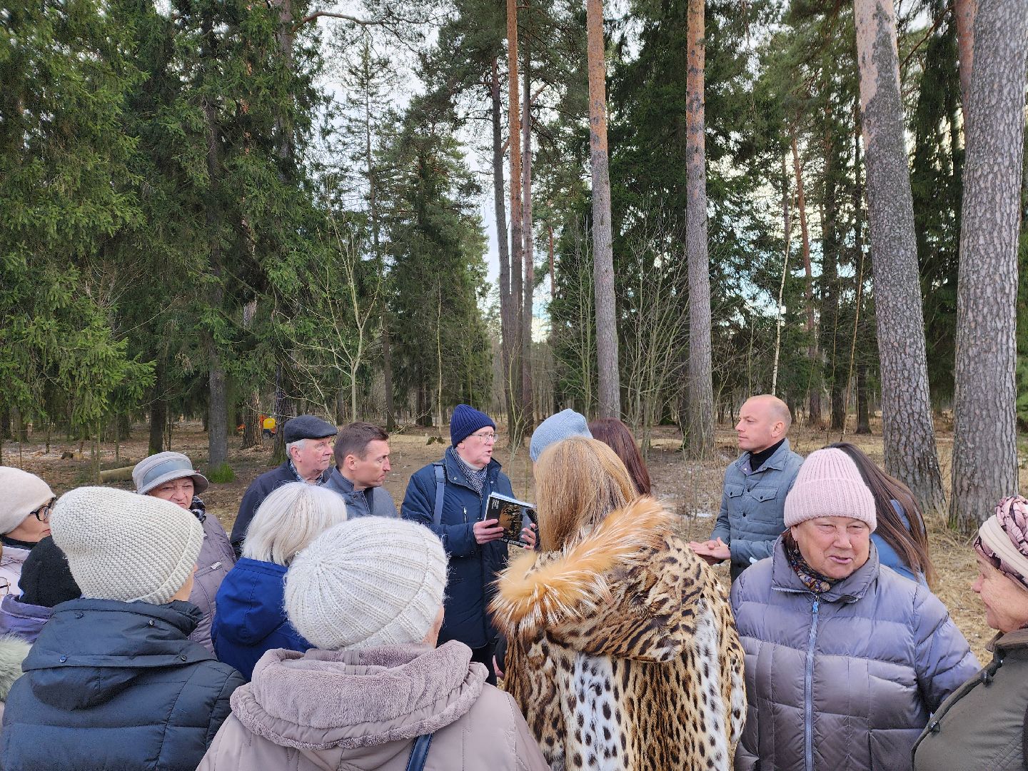 красноармейск, городской округ пушкинский, банный лес, лесопарк, благоустройство,