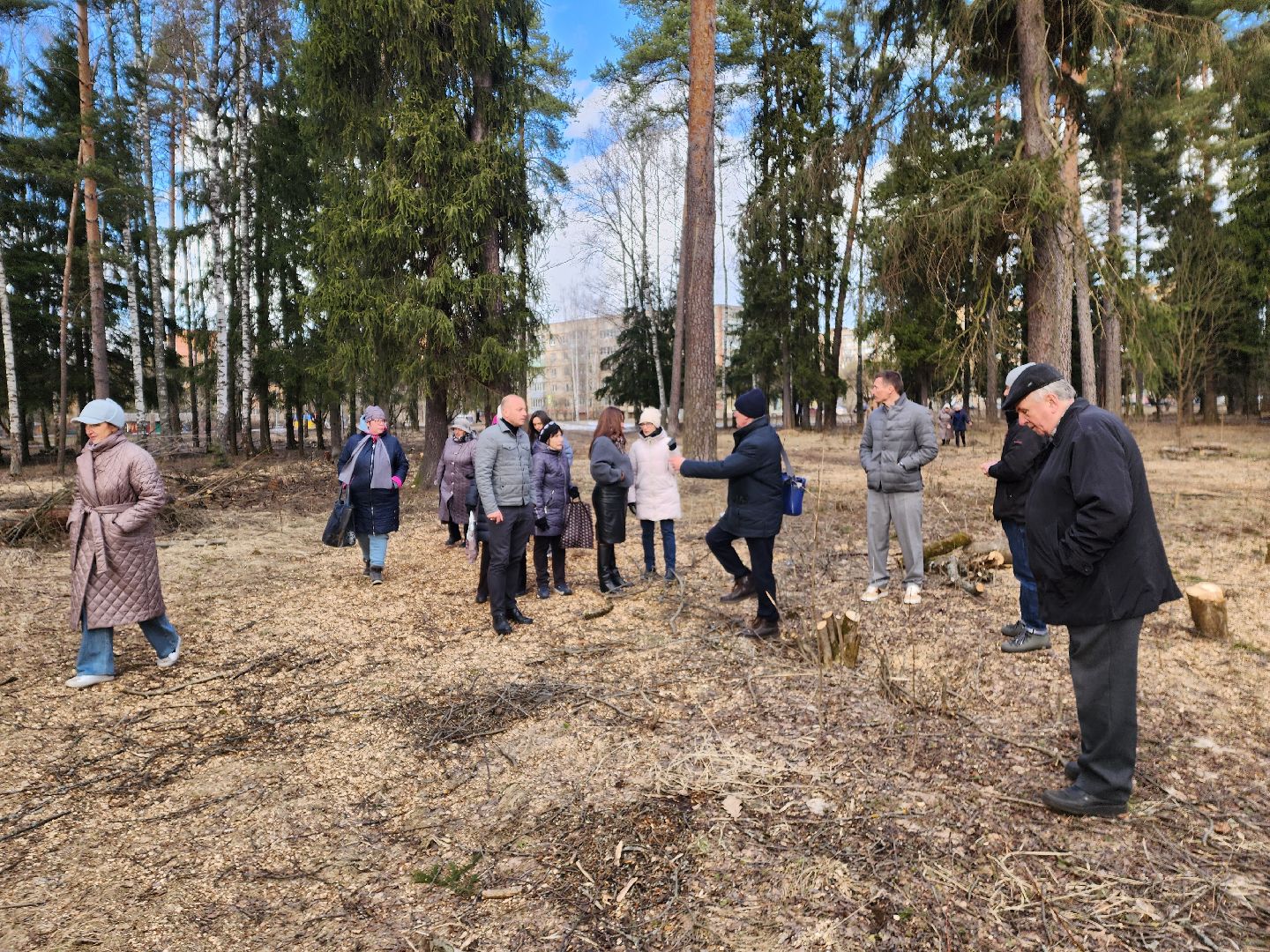 красноармейск, городской округ пушкинский, банный лес, лесопарк, благоустройство,