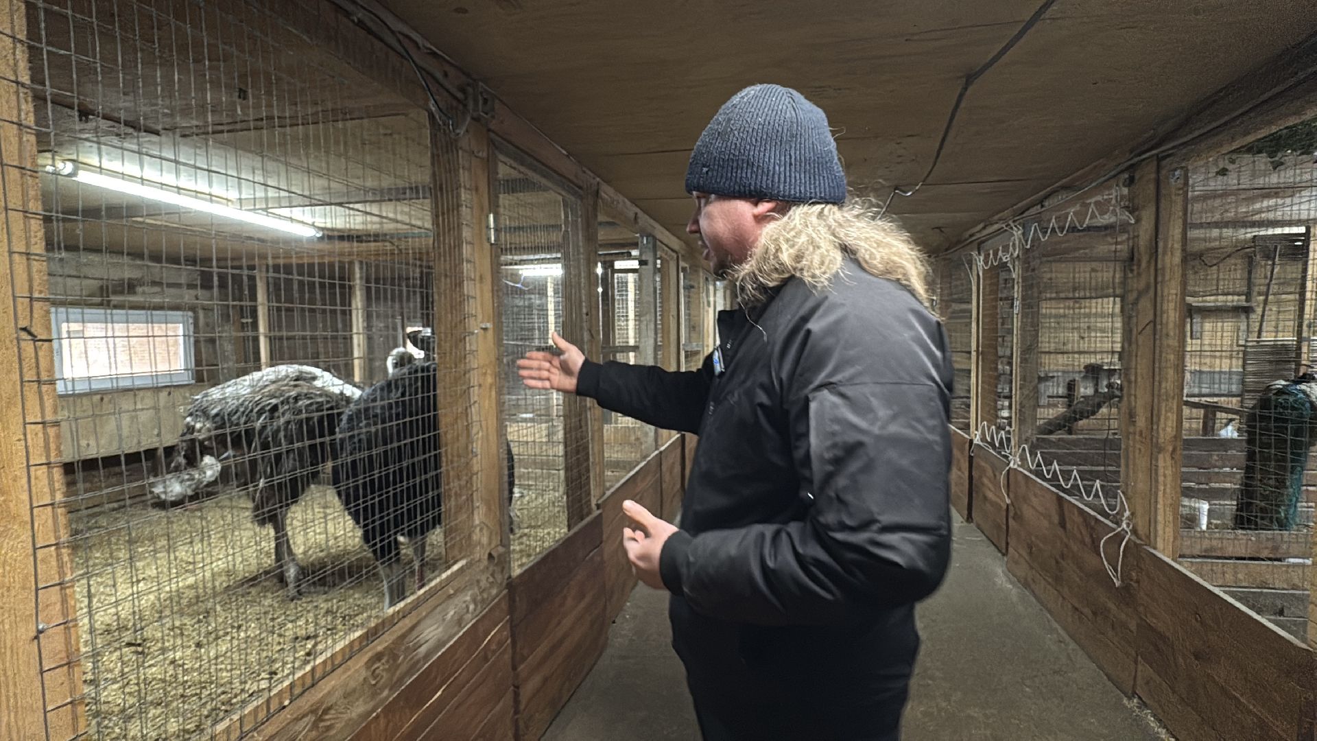 Экзотик ферма, Сурок байбак проснулся, Сурок в Одинцово,