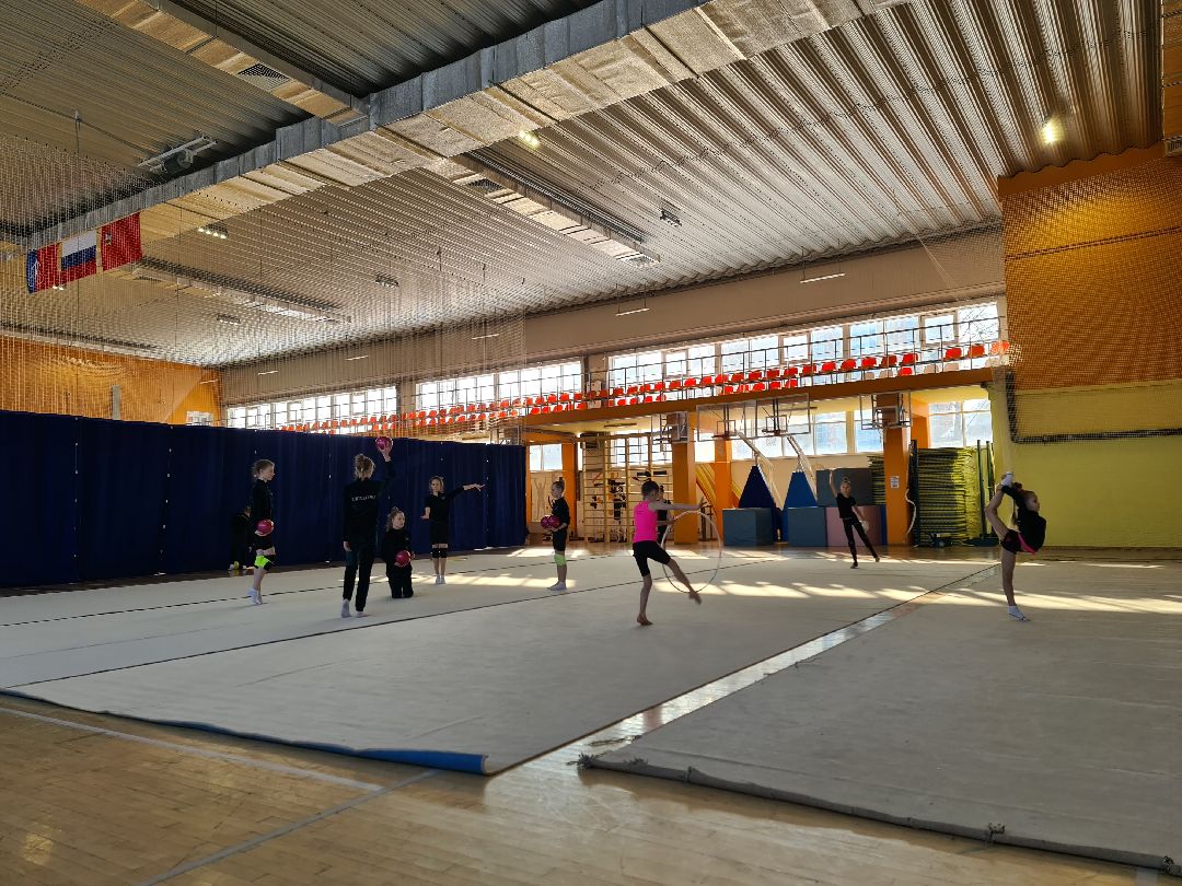 детский спорт, спорт, художественная гимнастика, дети, ЦФО, Щёлково