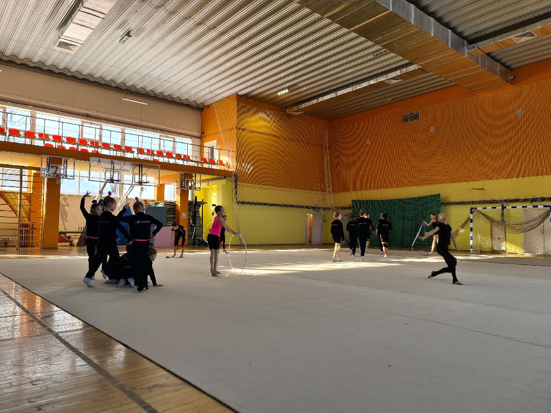 детский спорт, спорт, художественная гимнастика, дети, ЦФО, Щёлково