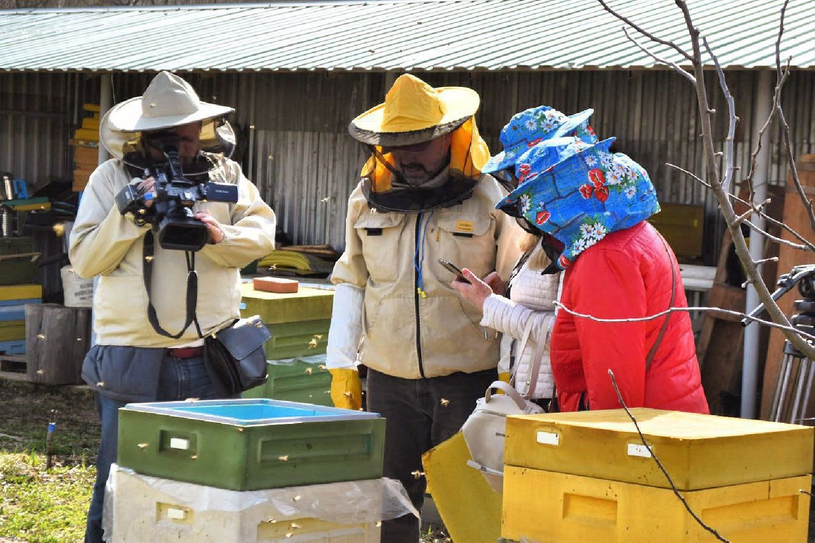 Серпухов, Подмосковье, туризм, пчёлы, мёд, экоферма, экотуризм