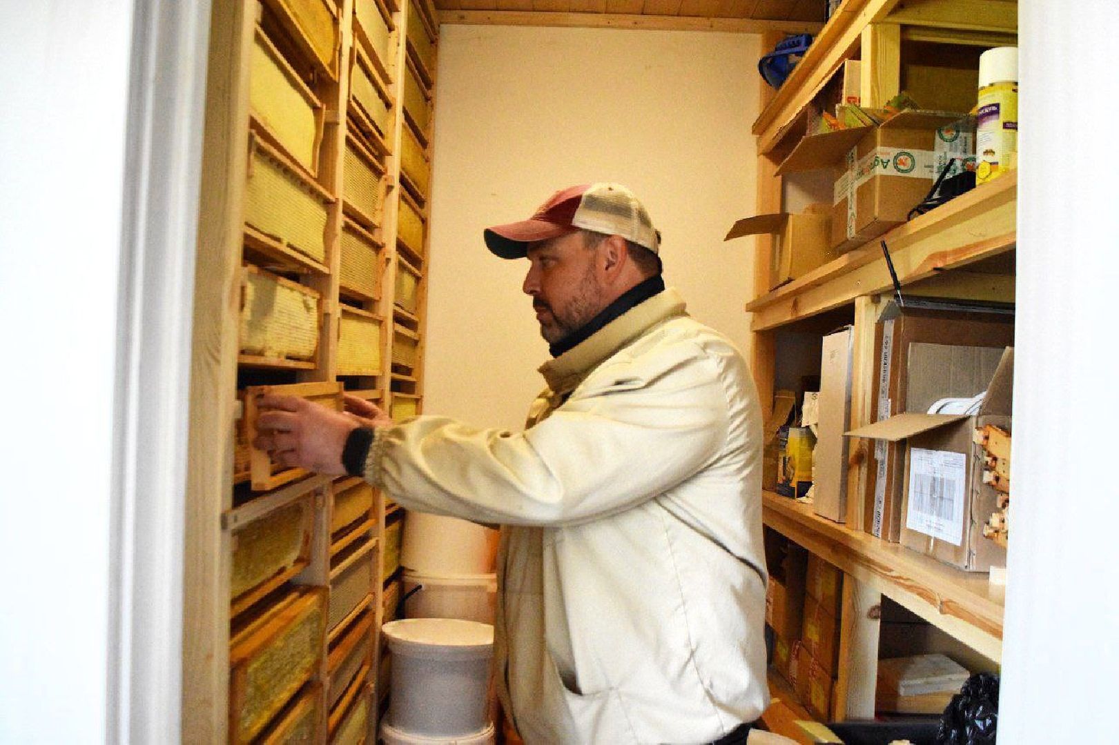 Серпухов, Подмосковье, туризм, пчёлы, мёд, экоферма, экотуризм