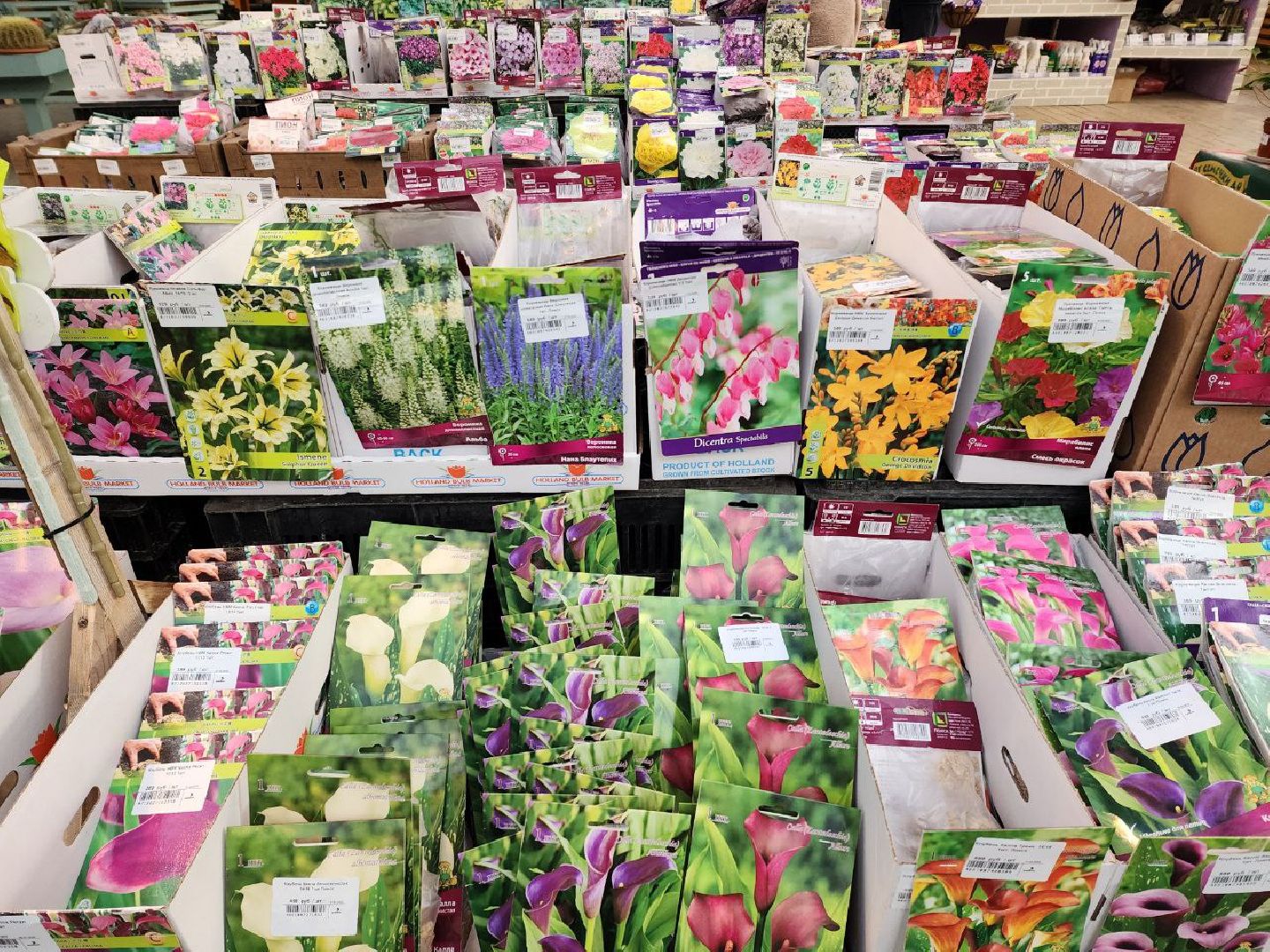 солнечногорск, дачники, сезон посадки, огород, жители,