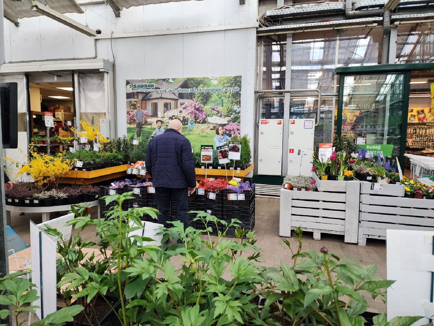 солнечногорск, дачники, сезон посадки, огород, жители,