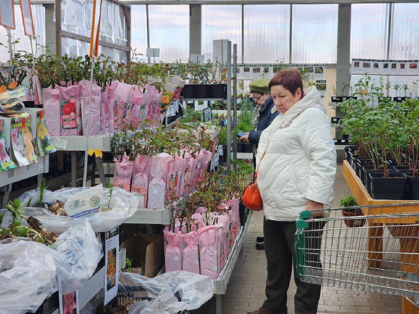 солнечногорск, дачники, сезон посадки, огород, жители,