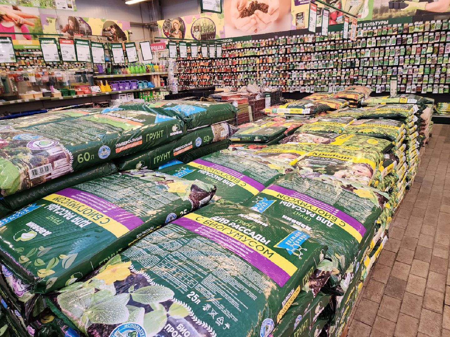 солнечногорск, дачники, сезон посадки, огород, жители,