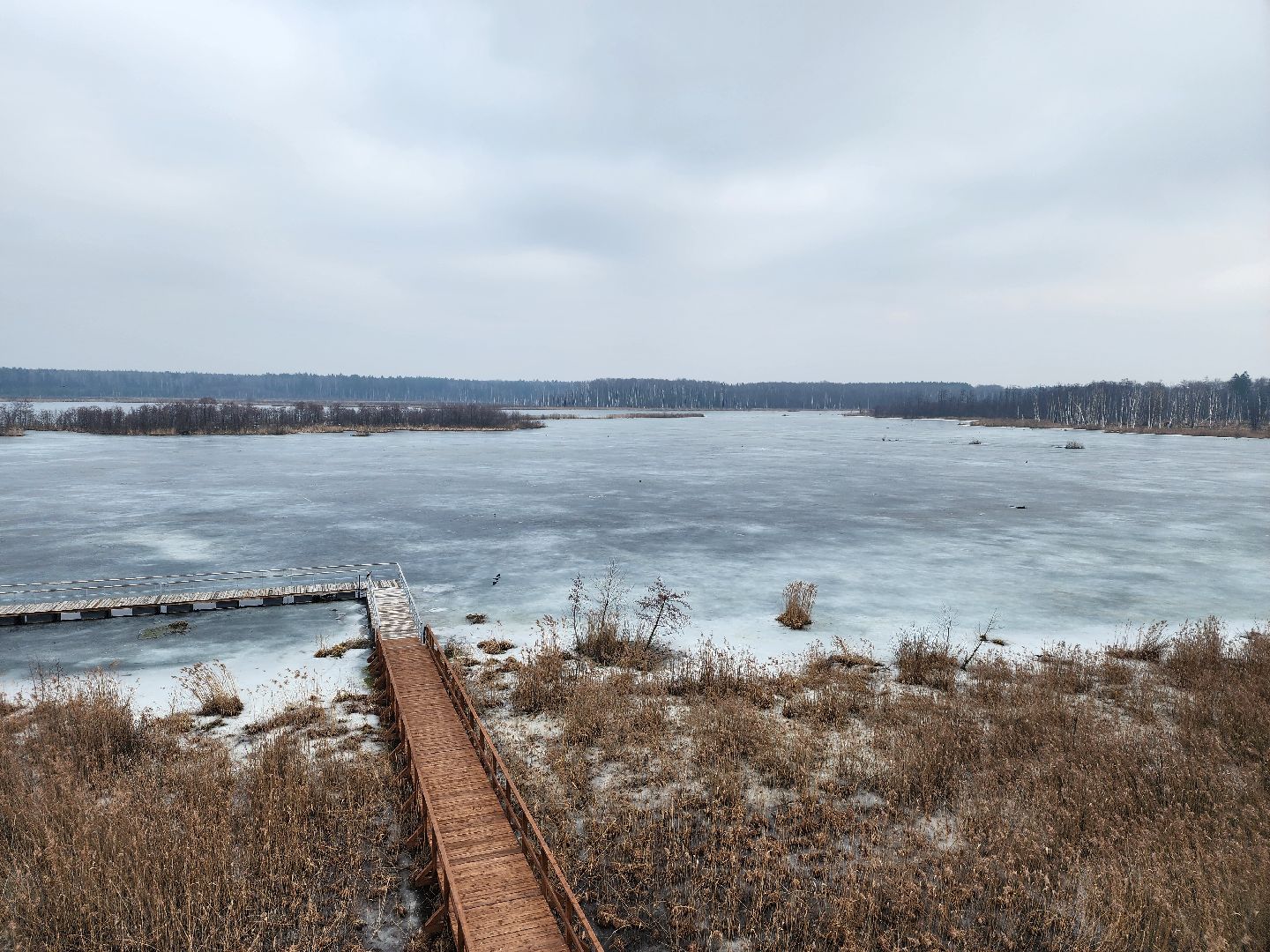 мытищи, лосиный остров,