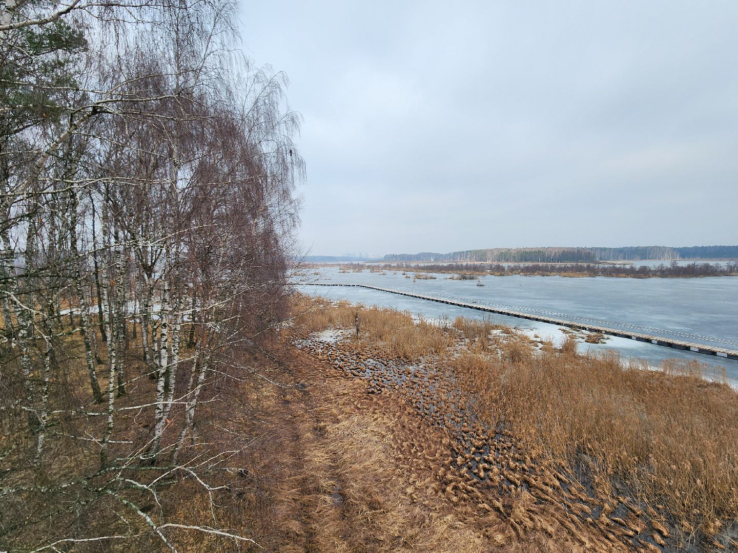 мытищи, лосиный остров,