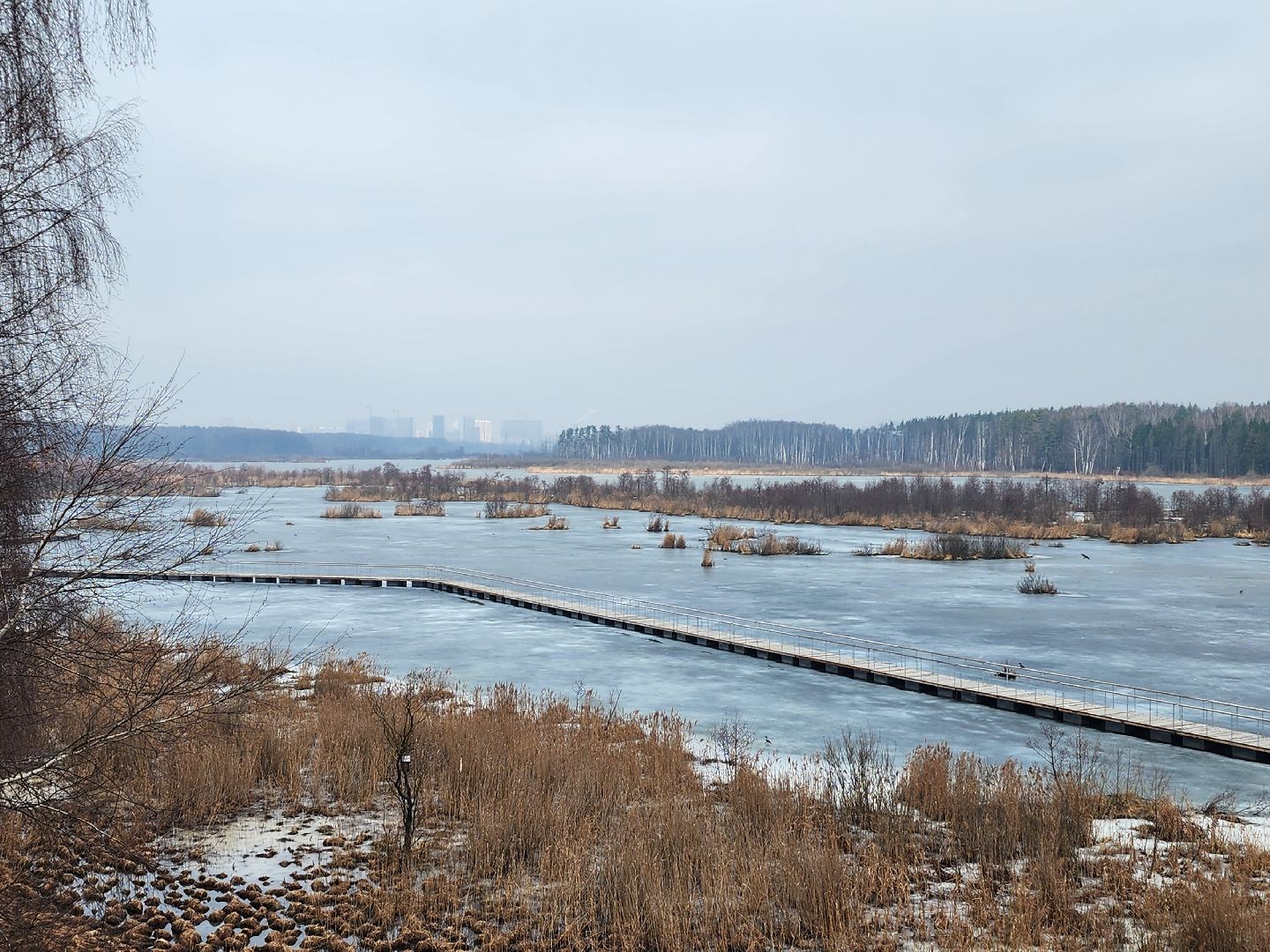 мытищи, лосиный остров,