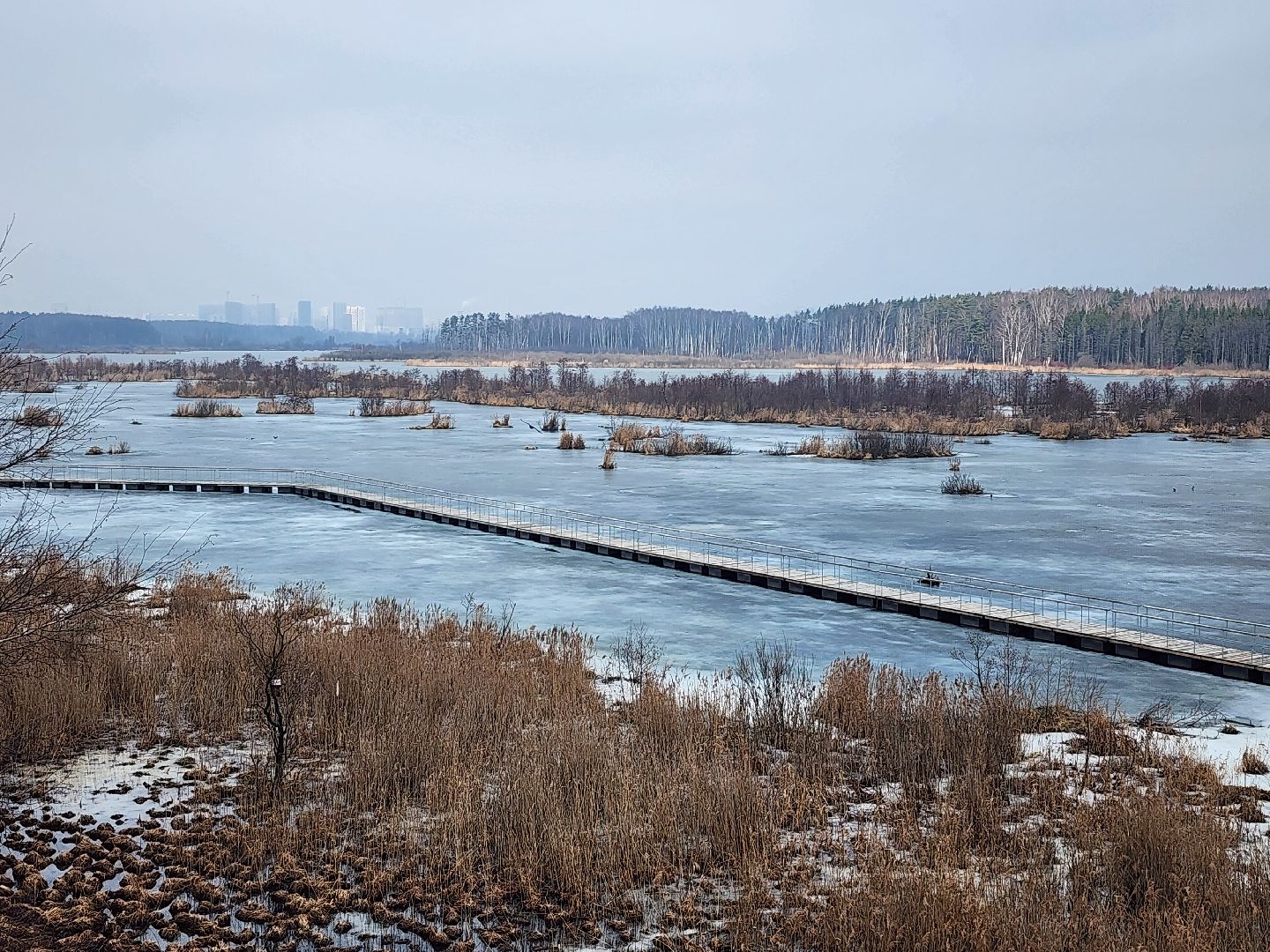 мытищи, лосиный остров,