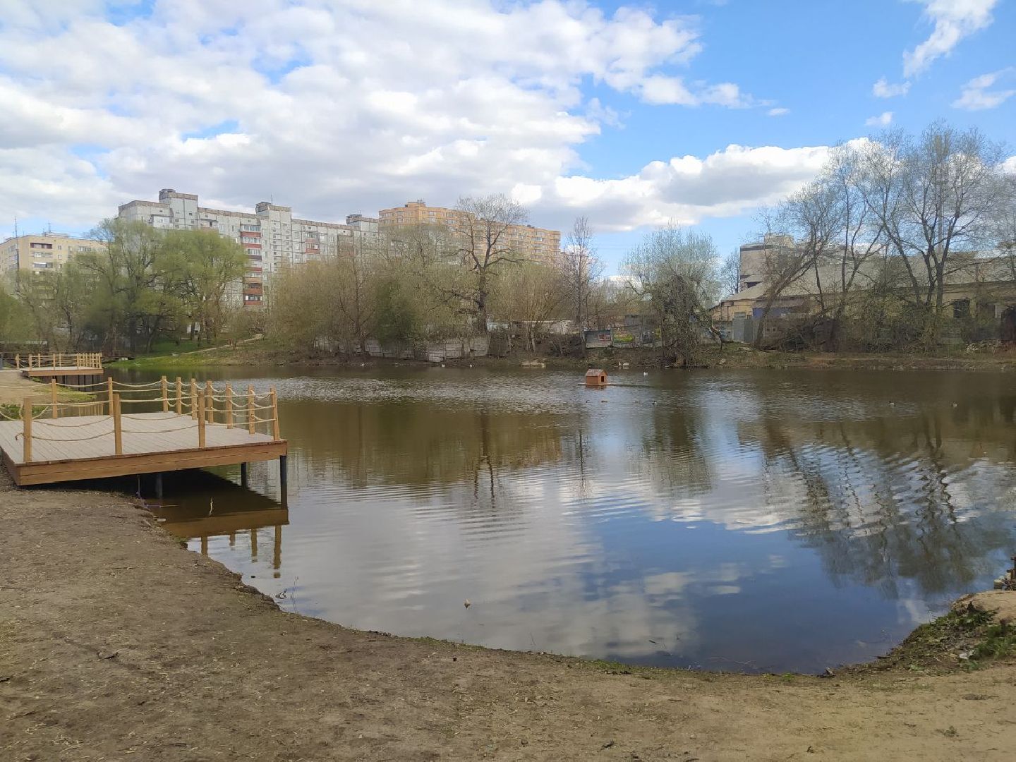 Дедовск, пруд, благоустройство, голосование