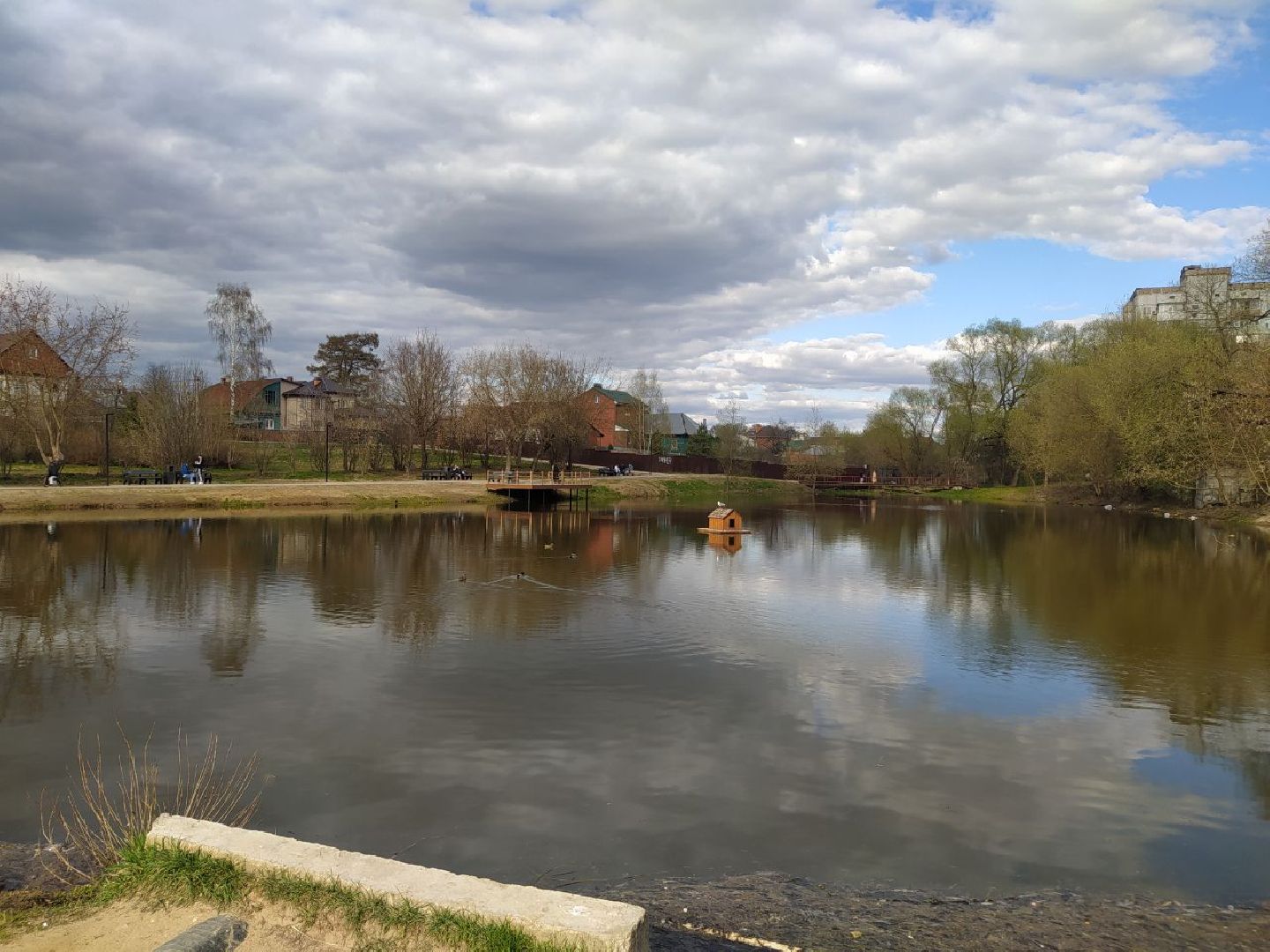 Дедовск, пруд, благоустройство, голосование