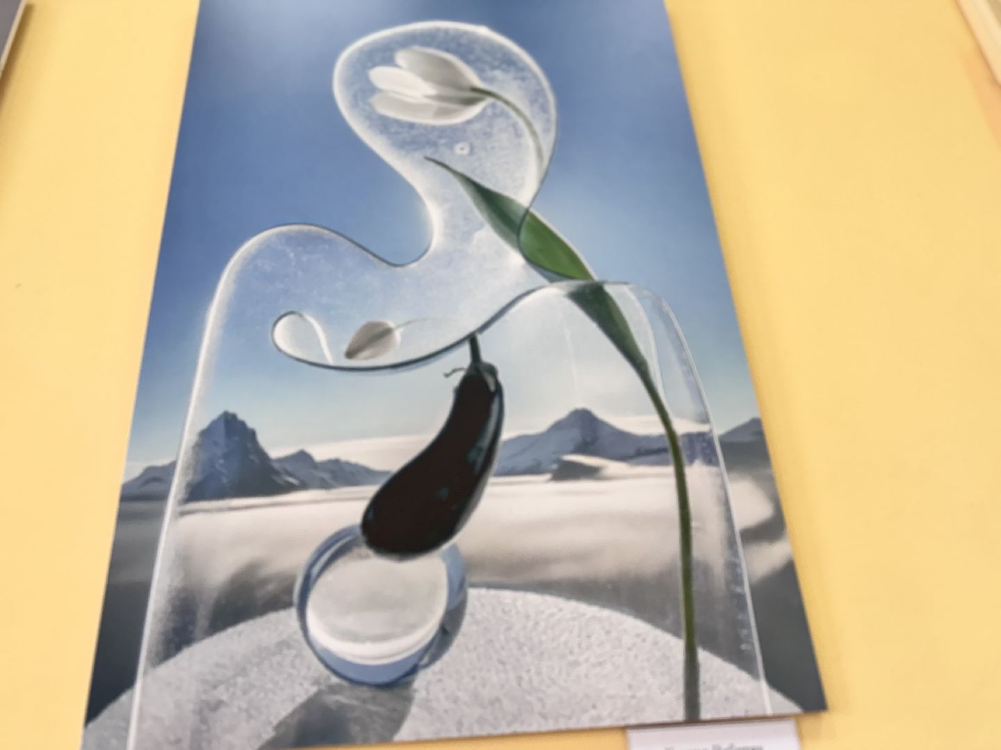 солнечногорск, фотовыставка, путевой дворец, жители, фотографии,