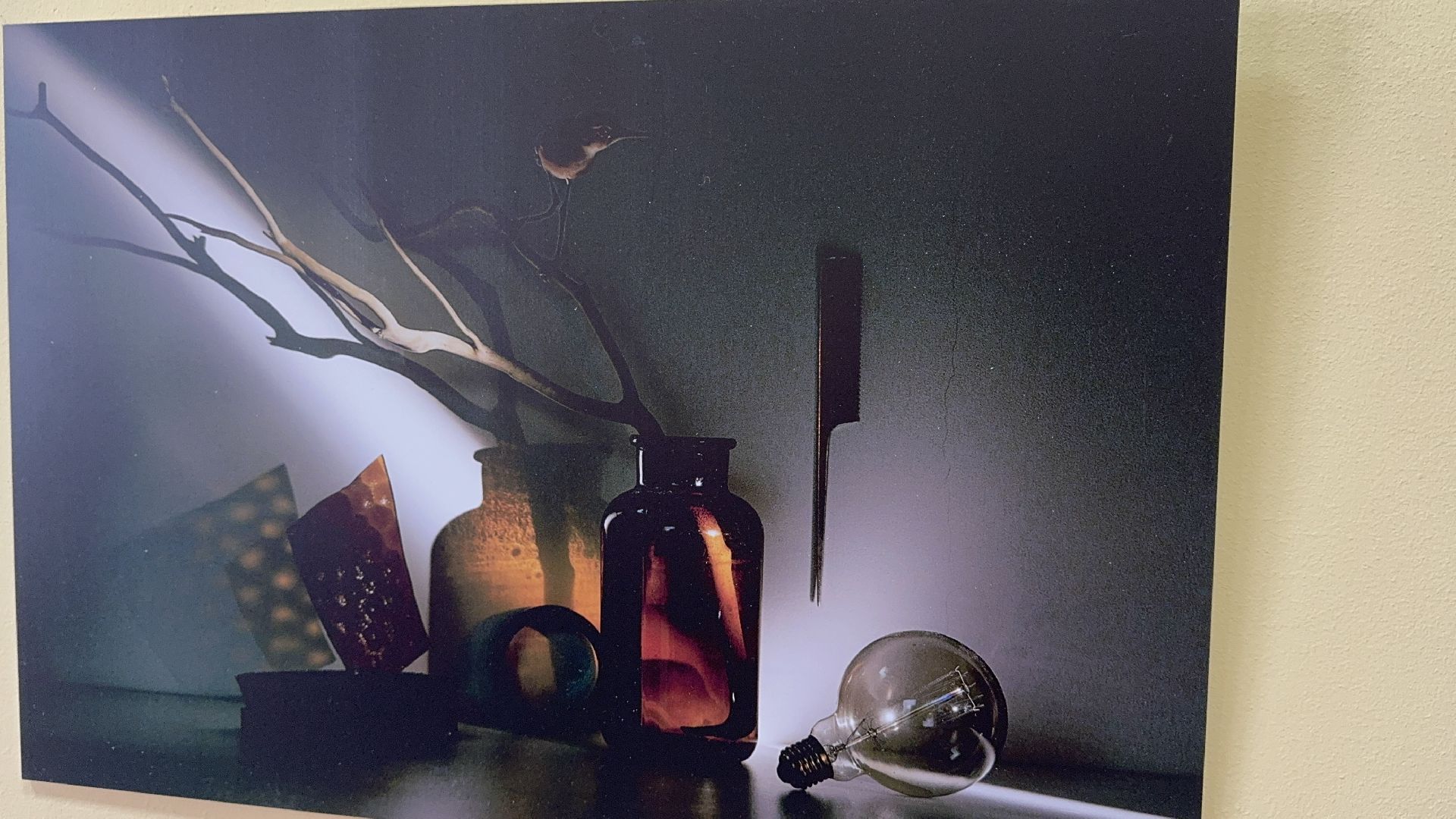 солнечногорск, фотовыставка, путевой дворец, жители, фотографии,