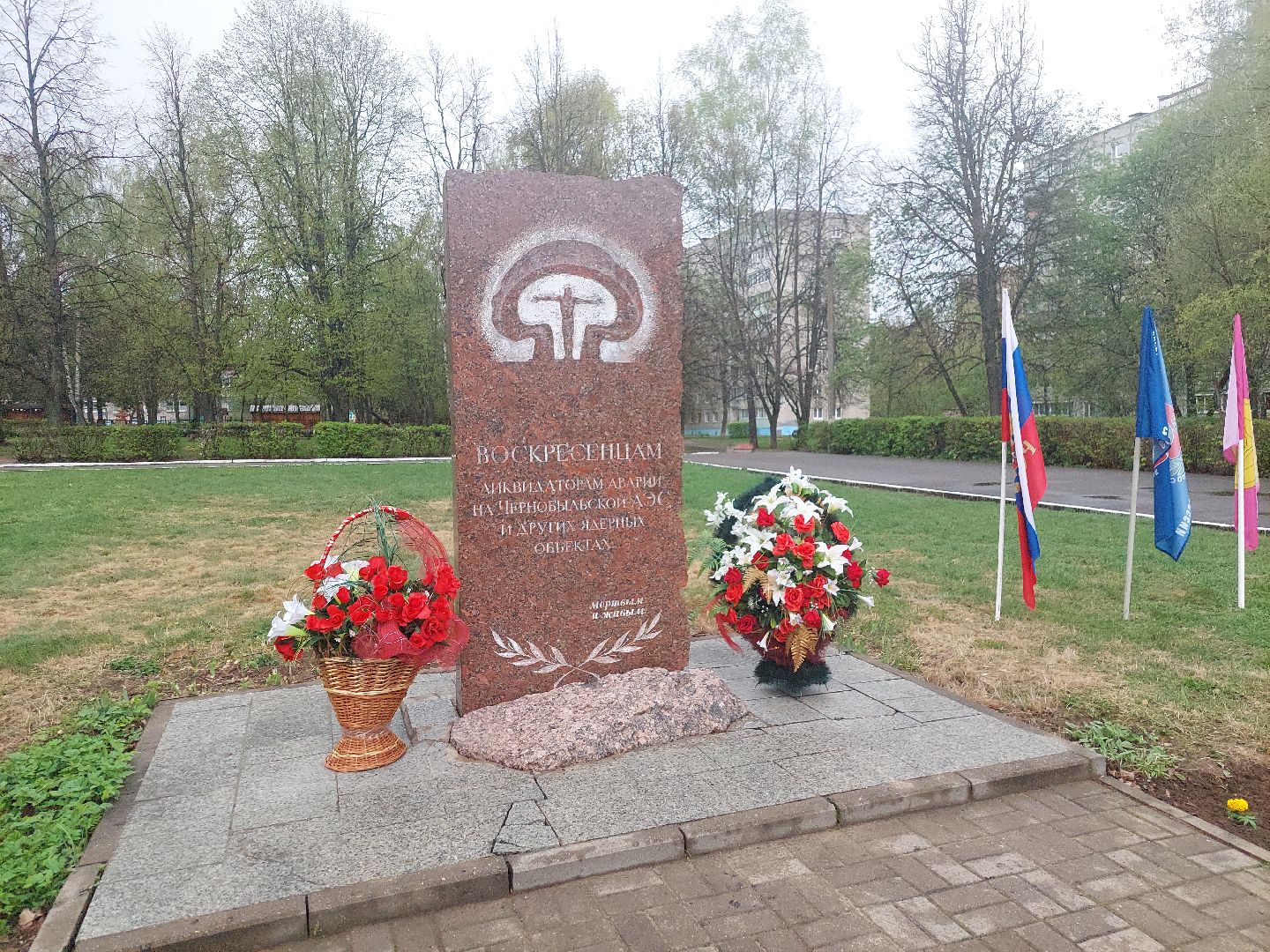 школьники, митинг, Чернобыль