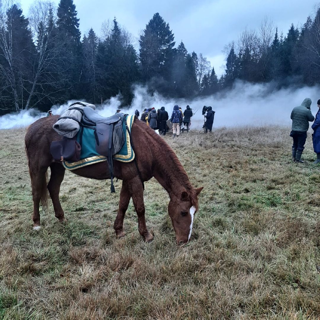 Экзотик ферма, Звездные животные, Одинцово, Экология,