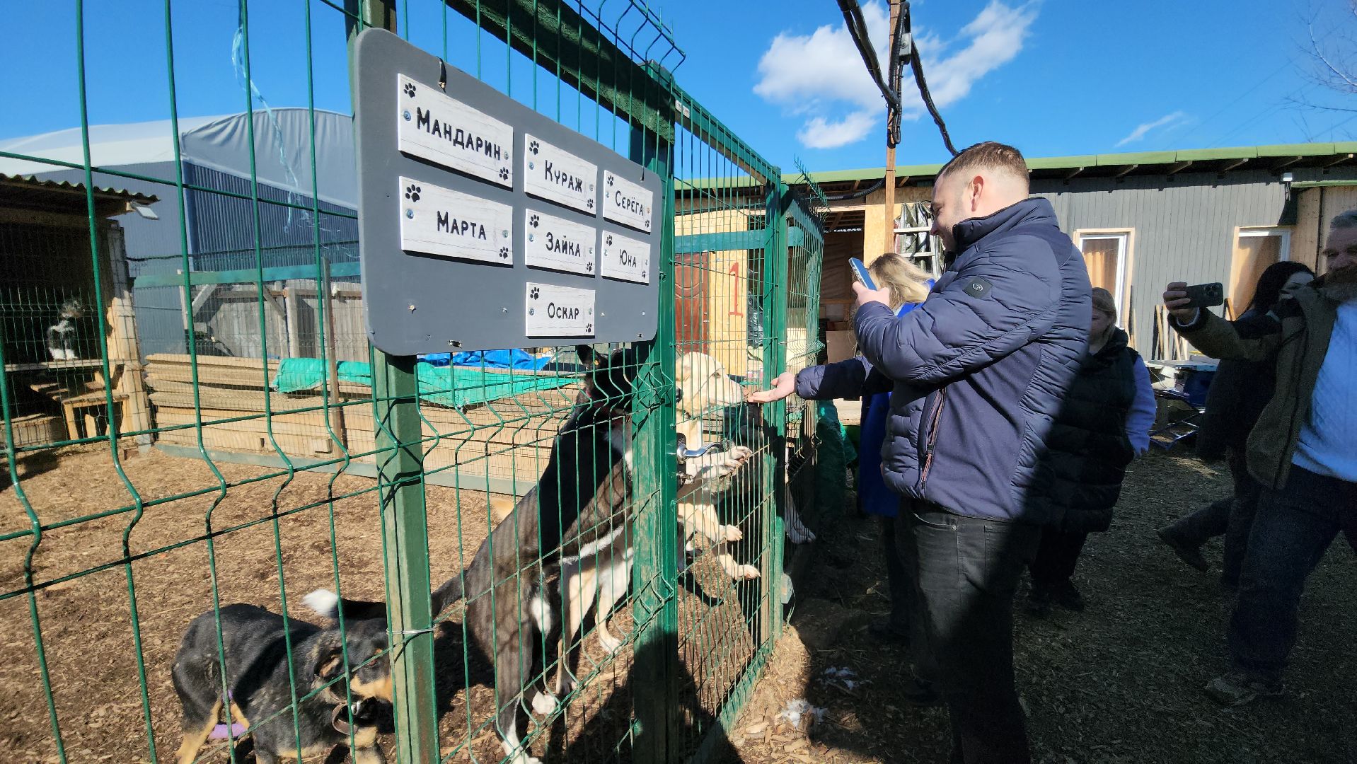 красногорск, приют для животных, лохматый ангел,