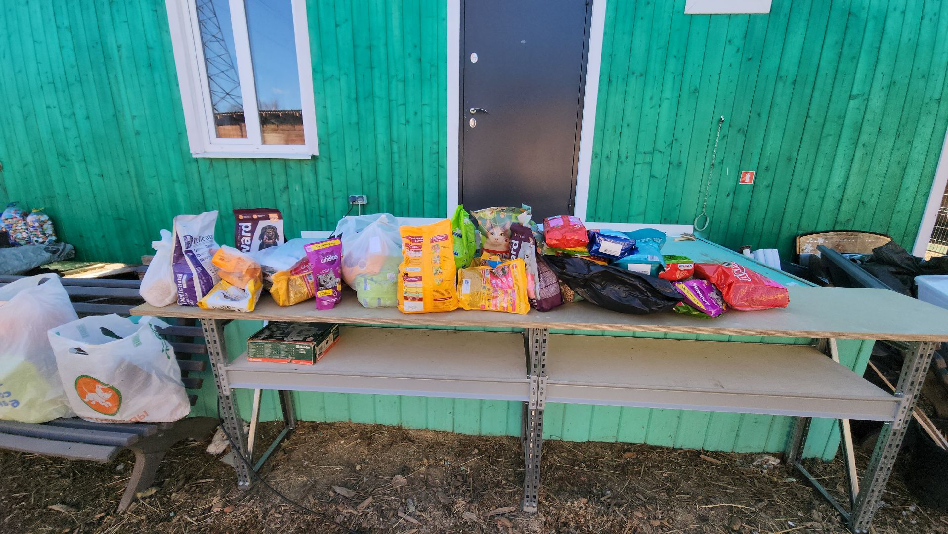 красногорск, приют для животных, лохматый ангел,