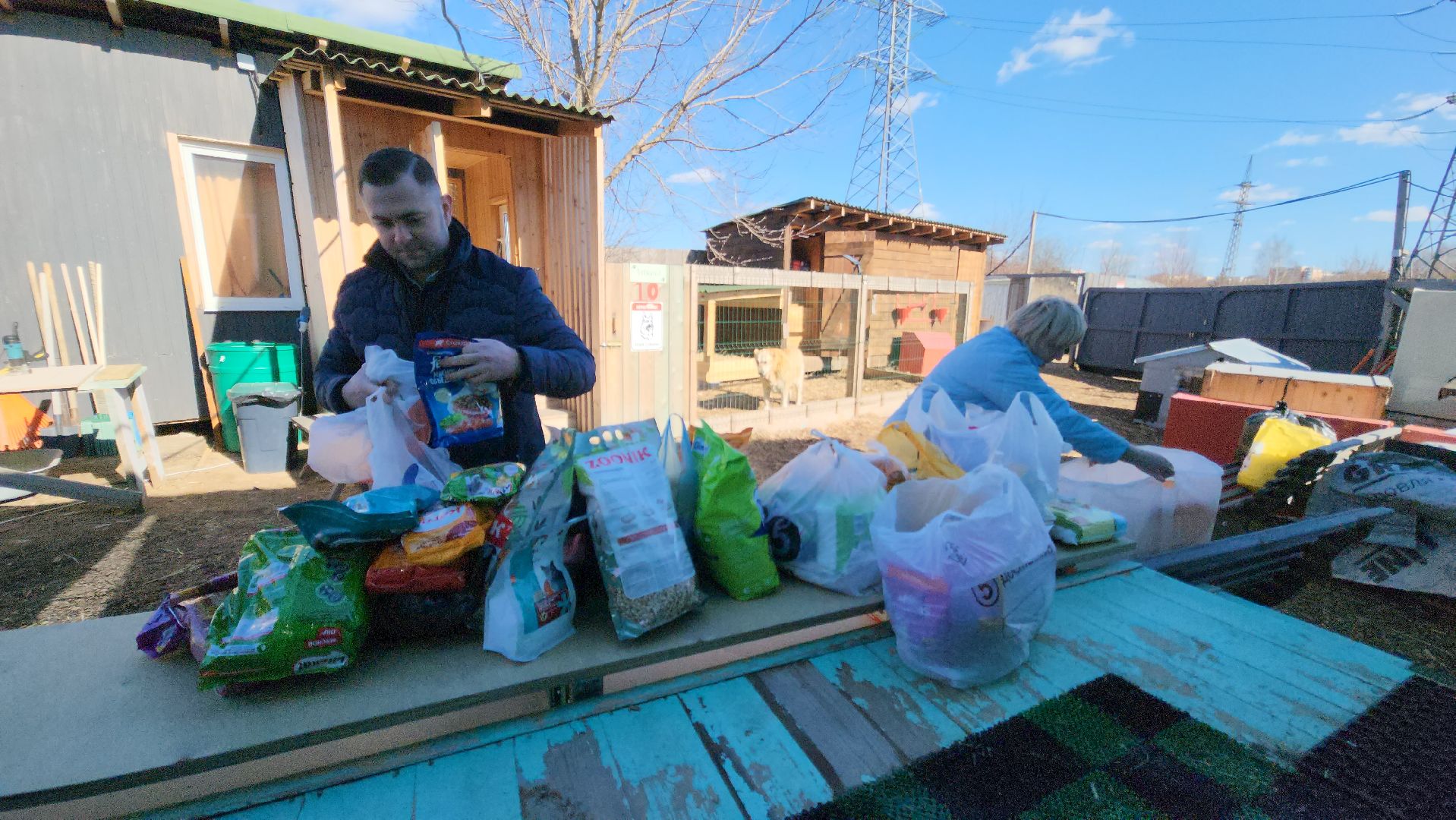 красногорск, приют для животных, лохматый ангел,