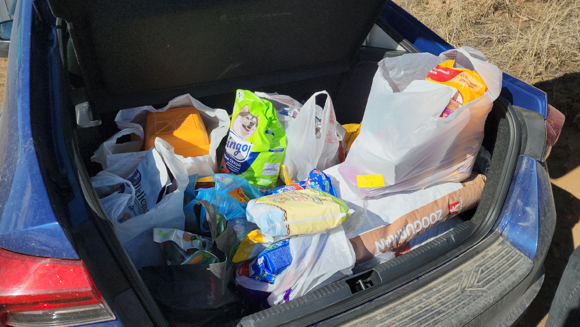 красногорск, приют для животных, лохматый ангел,