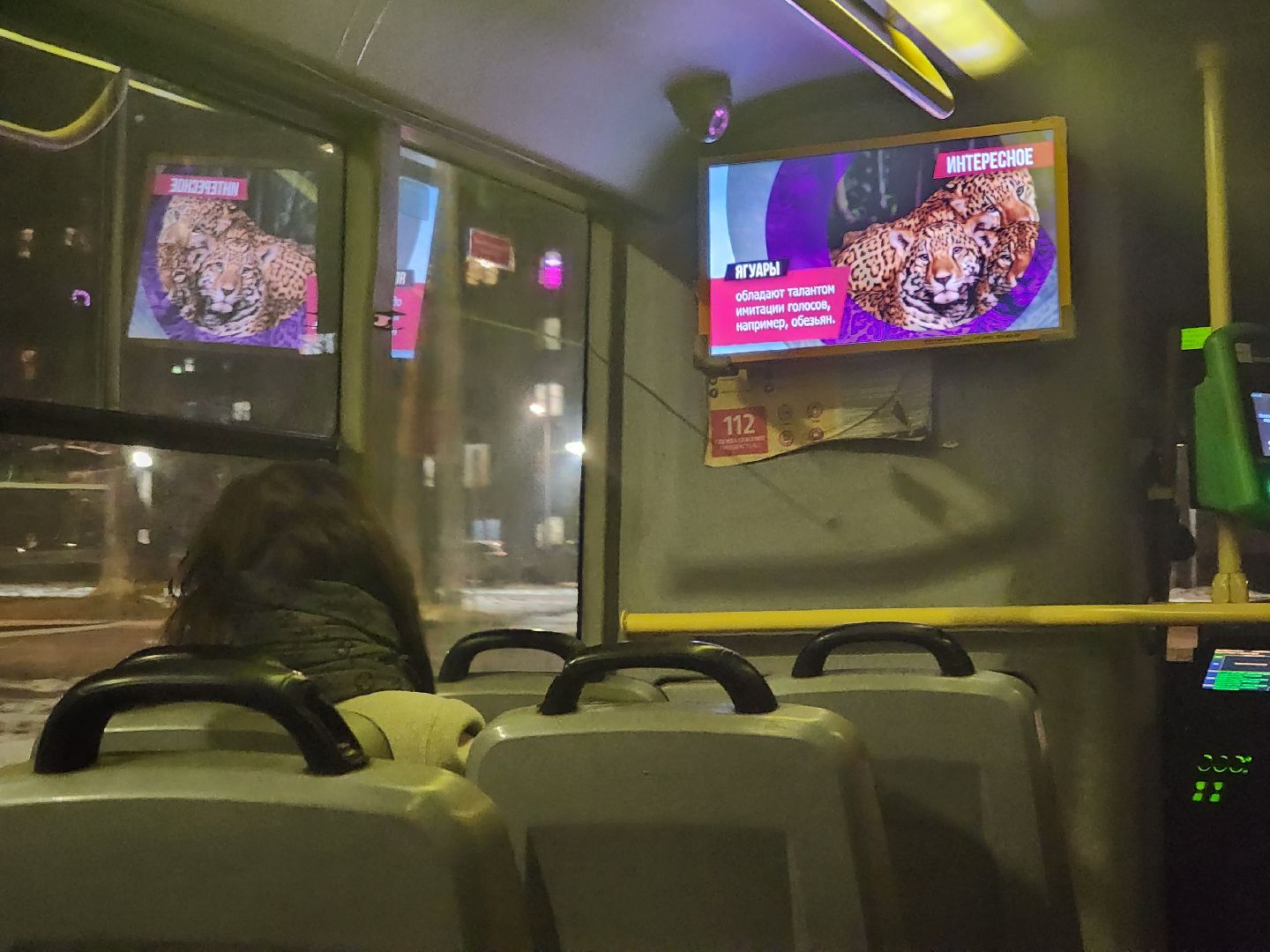 пущино, серпухов, транспорт,