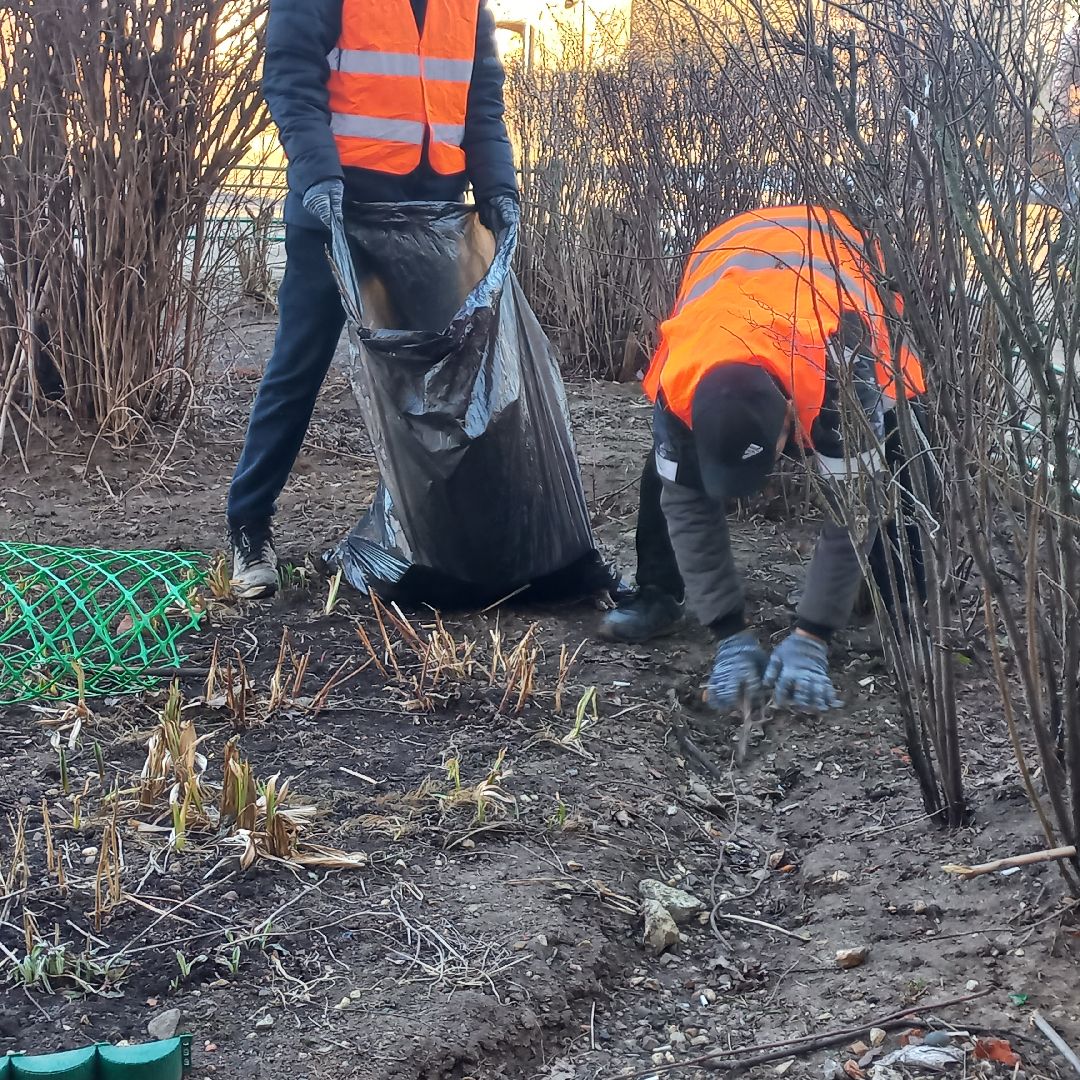 сергиев посад, дворы, уборка города,