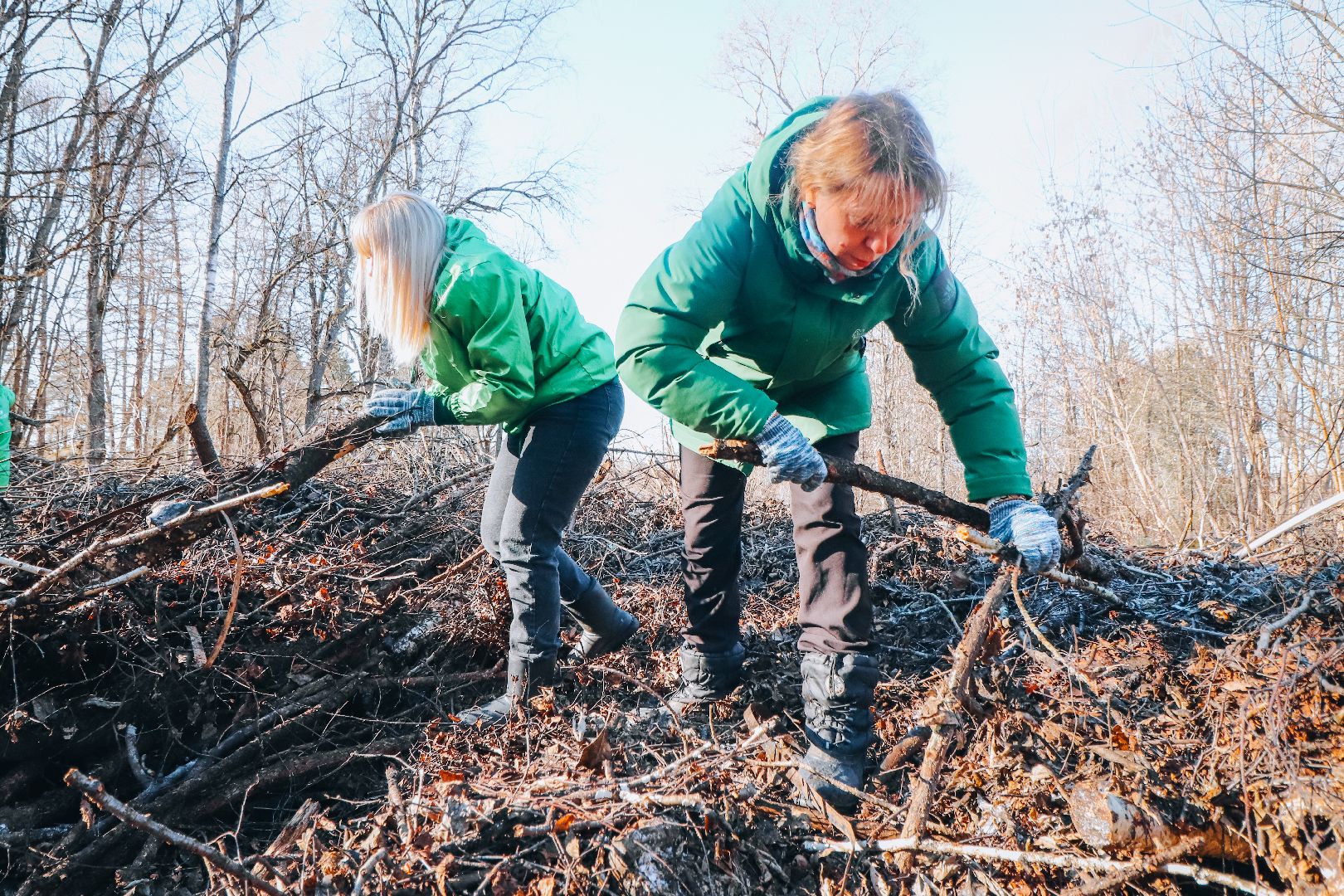 Клин, общество, благоустройство, опиловка деревьев, парки подмосковья,