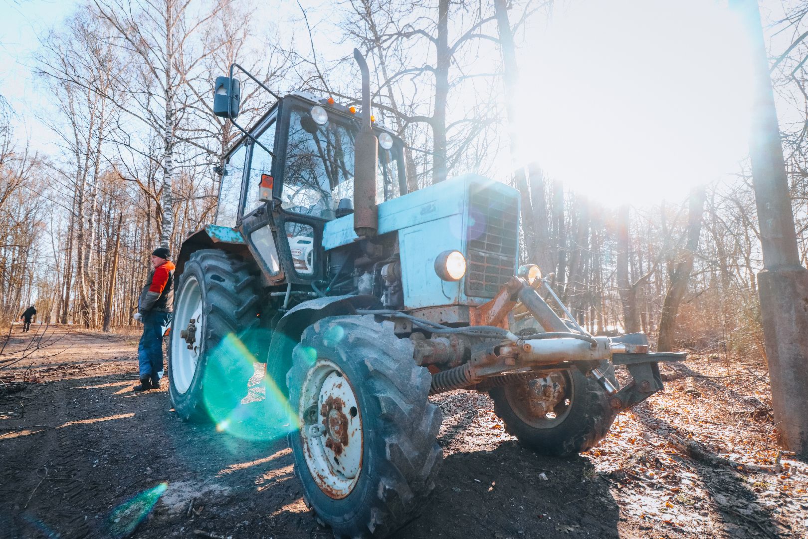Клин, общество, благоустройство, опиловка деревьев, парки подмосковья,
