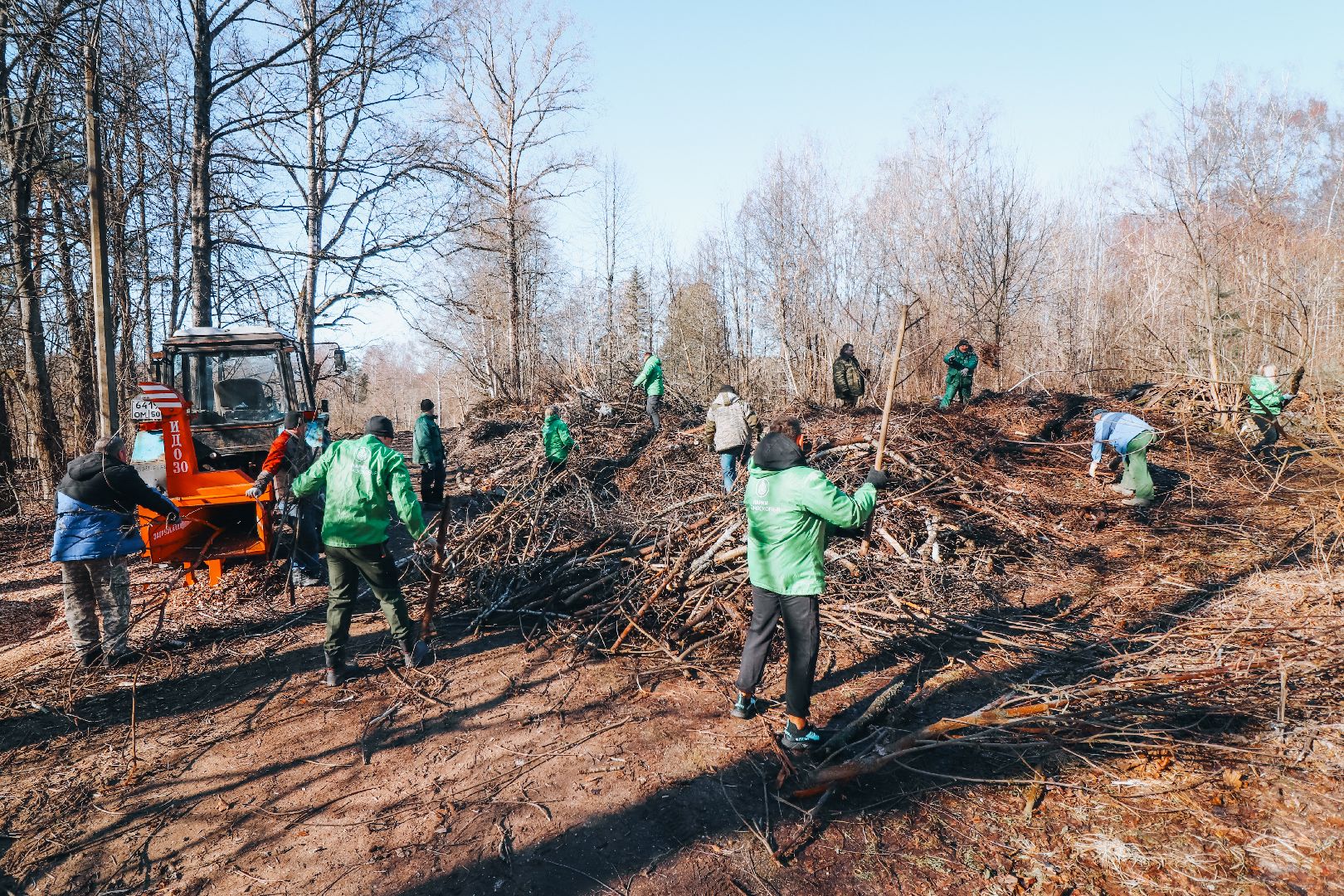 Клин, общество, благоустройство, опиловка деревьев, парки подмосковья,