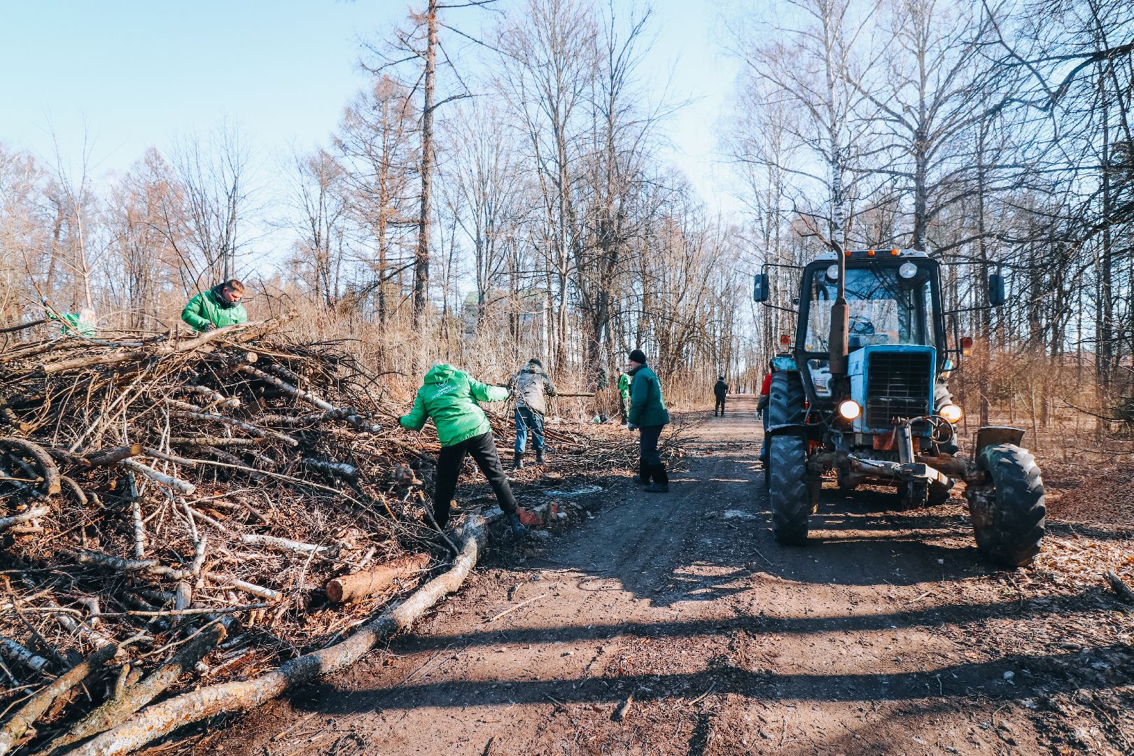 Клин, общество, благоустройство, опиловка деревьев, парки подмосковья,