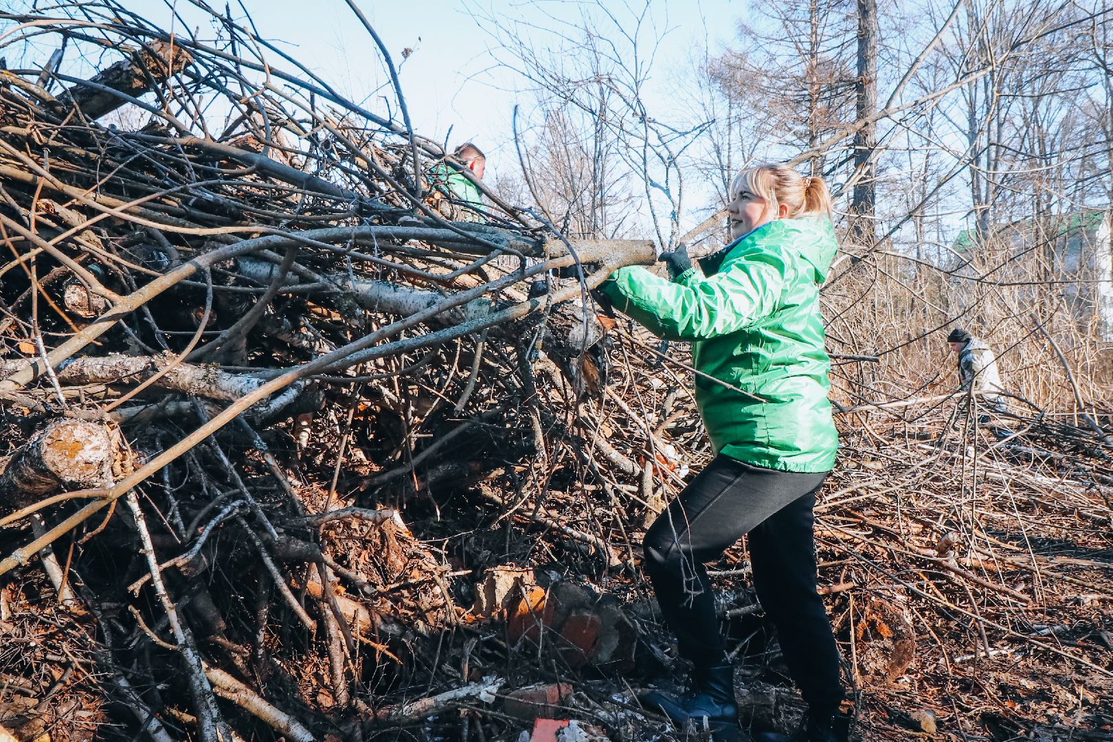 Клин, общество, благоустройство, опиловка деревьев, парки подмосковья,