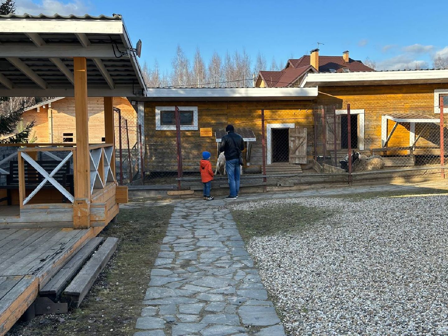 Зоопарк, Истра, Животные,Кенгуру,