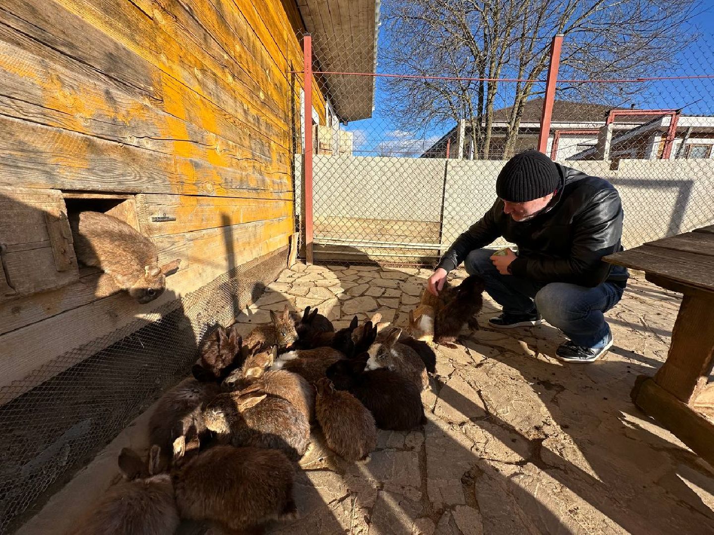 Зоопарк, Истра, Животные,Кенгуру,