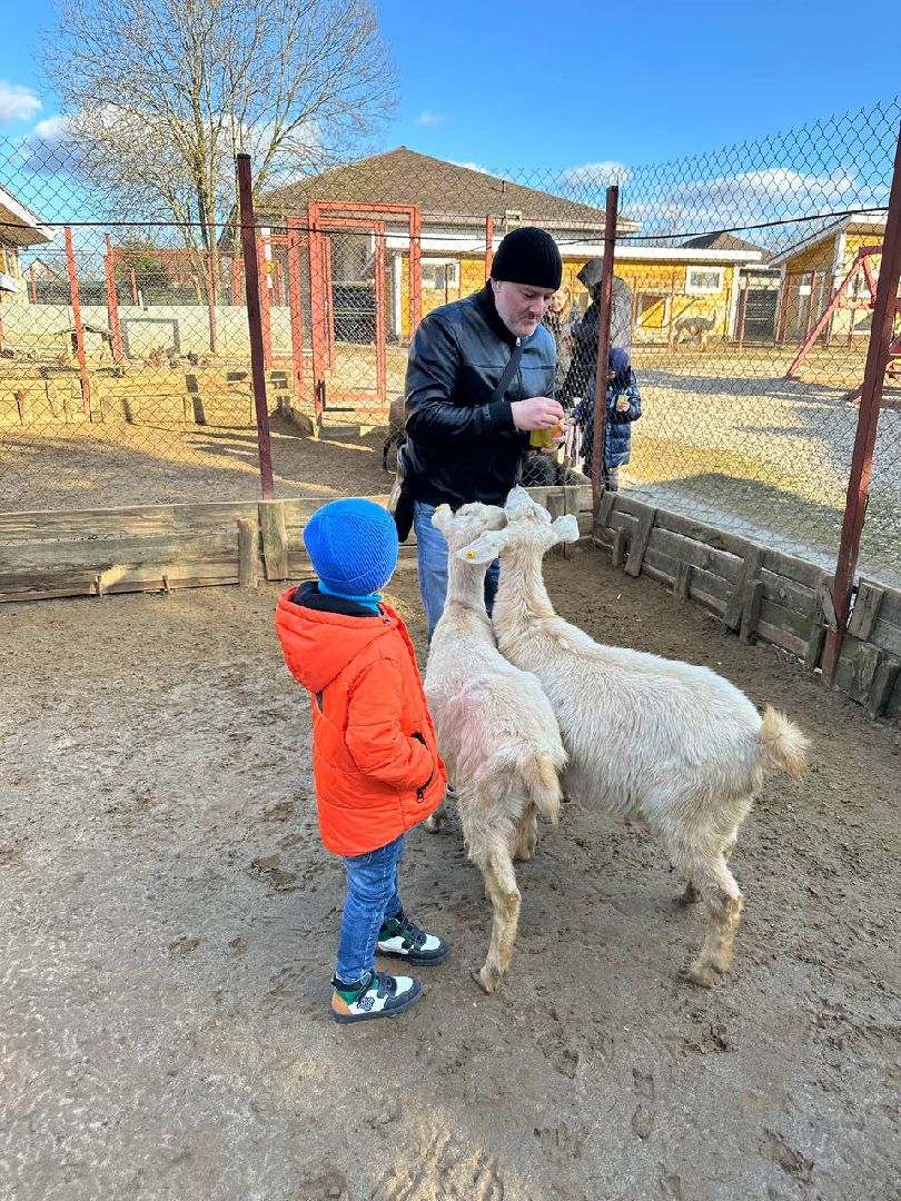 Зоопарк, Истра, Животные,Кенгуру,