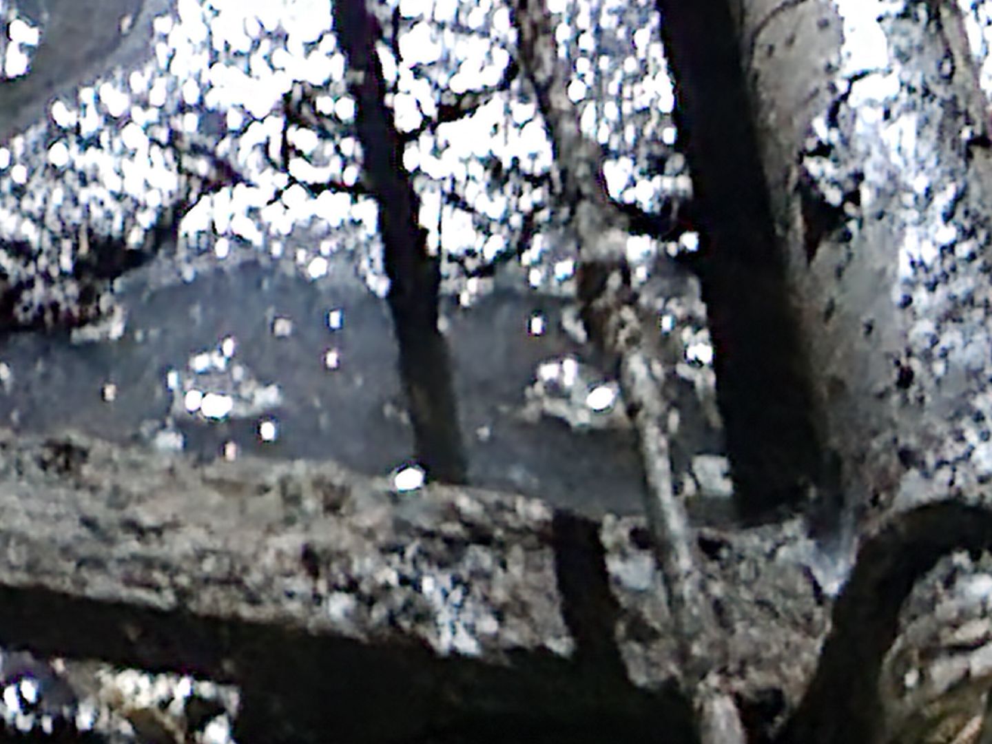 Чехов, улица Весенняя 20, жилой дом, подвал, подтопления, засор канализации, протечка трубы ГВС, устранение проблемы, управляющая компания, мбу чеховское благоустройство, просушка подвала, дезинфекция, вертикалки,