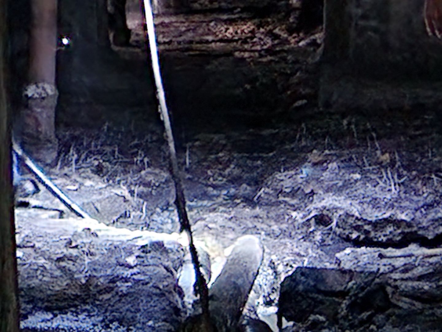 Чехов, улица Весенняя 20, жилой дом, подвал, подтопления, засор канализации, протечка трубы ГВС, устранение проблемы, управляющая компания, мбу чеховское благоустройство, просушка подвала, дезинфекция, вертикалки,