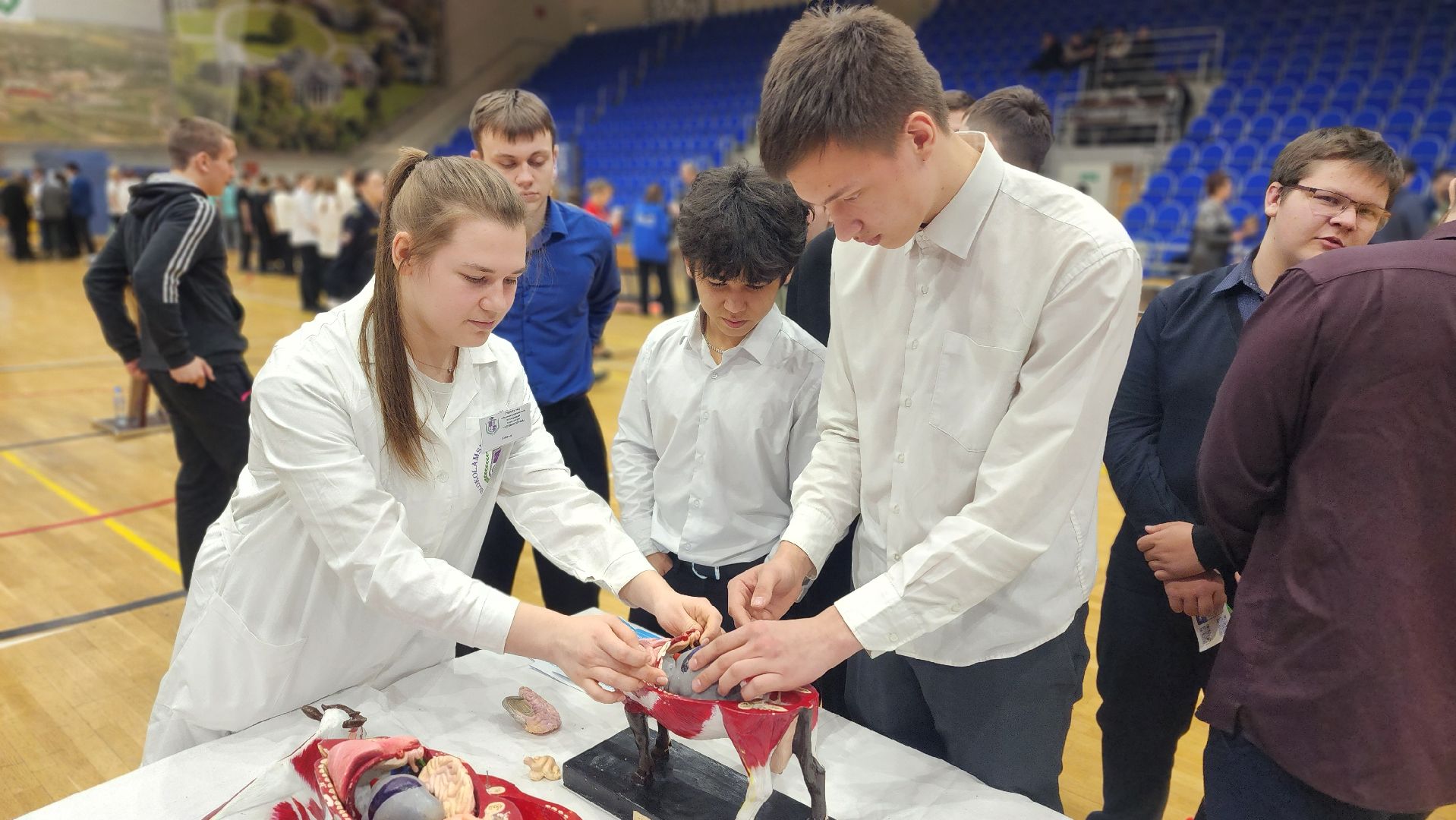 фестиваль профессий, путь навыков, волоколамск,