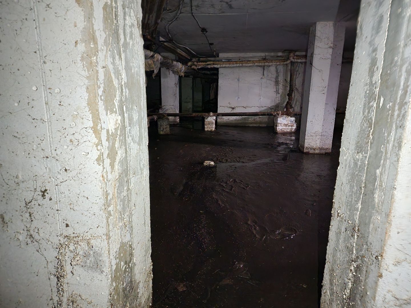 Чехов, Вишневый бульвар 4а, жилой дом, подтопление подвала, протечка, грунтовые воды, засор канализации, запахи канализации, комары, сырость, устранение проблемы, откачка воды, просушка, дезинфекция,