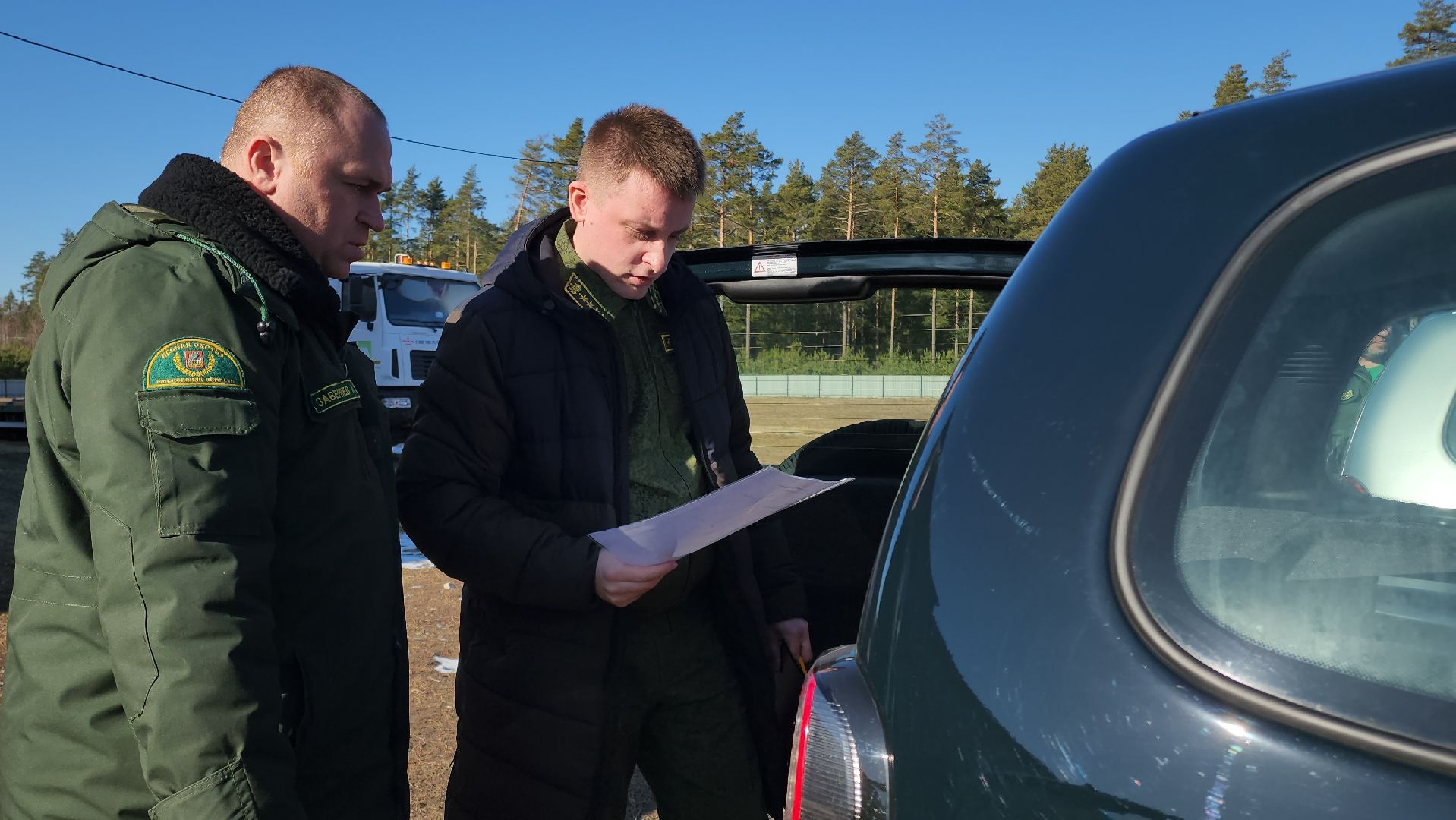 Егорьевск, Подмосковье, Лес, Московская область,