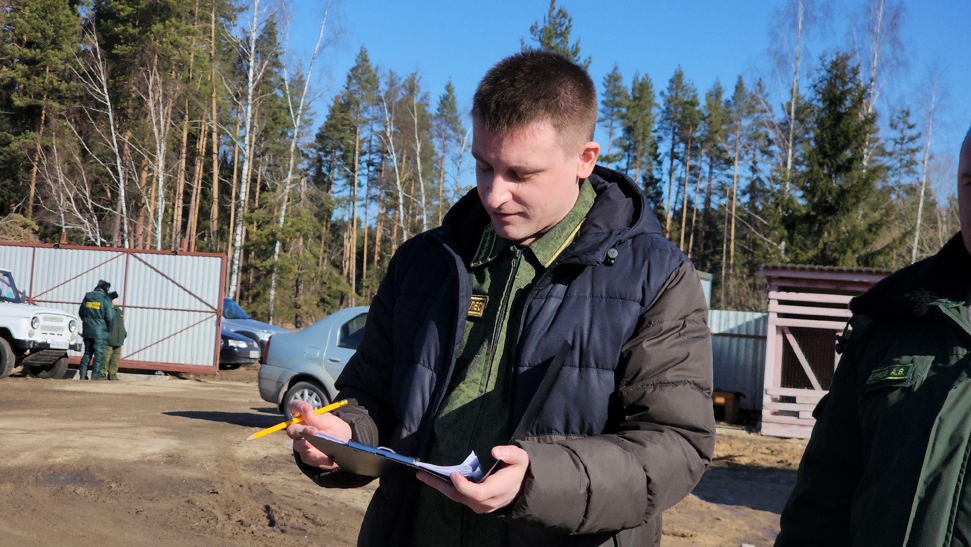 Егорьевск, Подмосковье, Лес, Московская область,