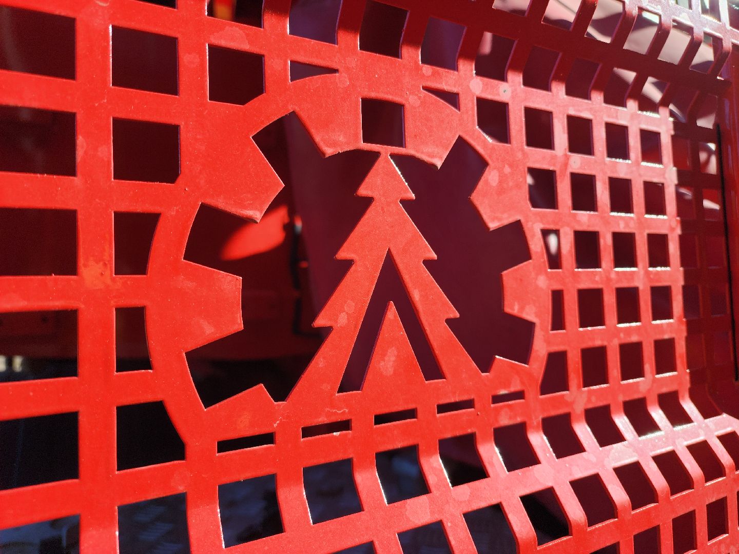 Егорьевск, Подмосковье, Лес, Московская область,