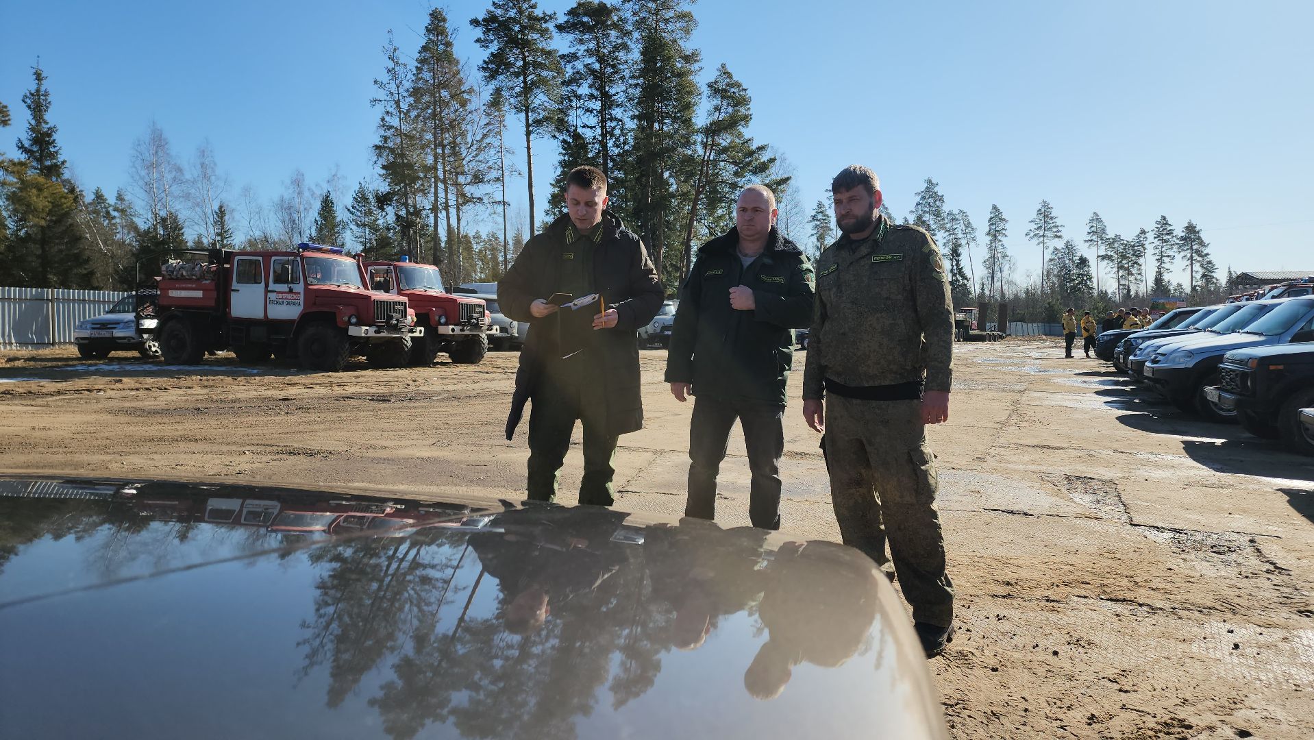Егорьевск, Подмосковье, Лес, Московская область,