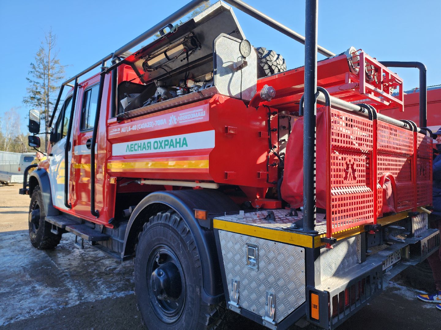 Егорьевск, Подмосковье, Лес, Московская область,